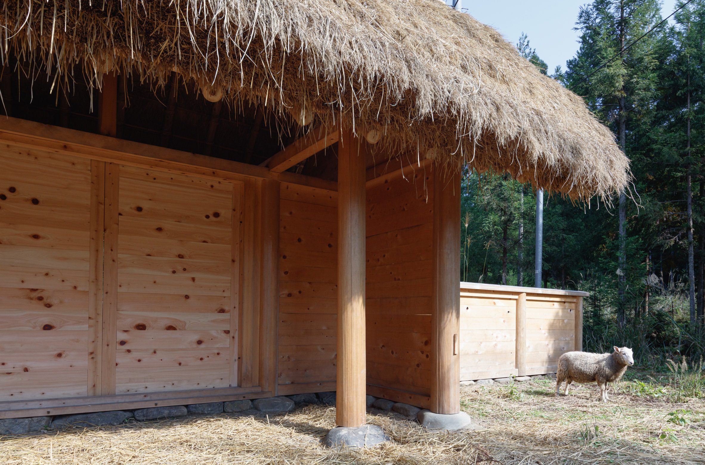 京都裏山 法國建築師2m26 檜木茅草 Hitsujigoya wood structure 木構造羊舍