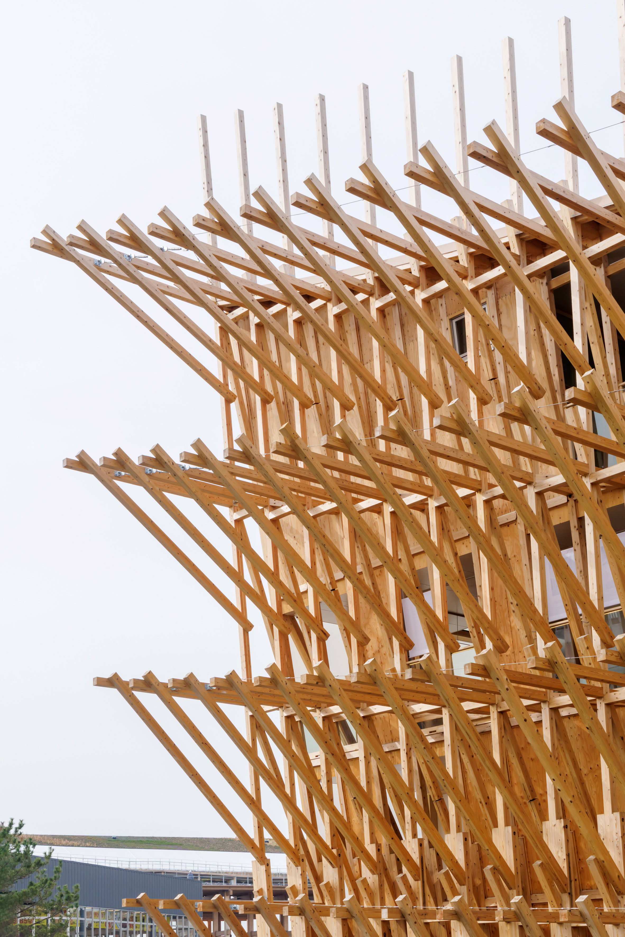 巴林館敬古傳海韻！黎巴嫩女建築師 Lina Ghotmeh 設計2025大阪世博「連結海洋」木構展館