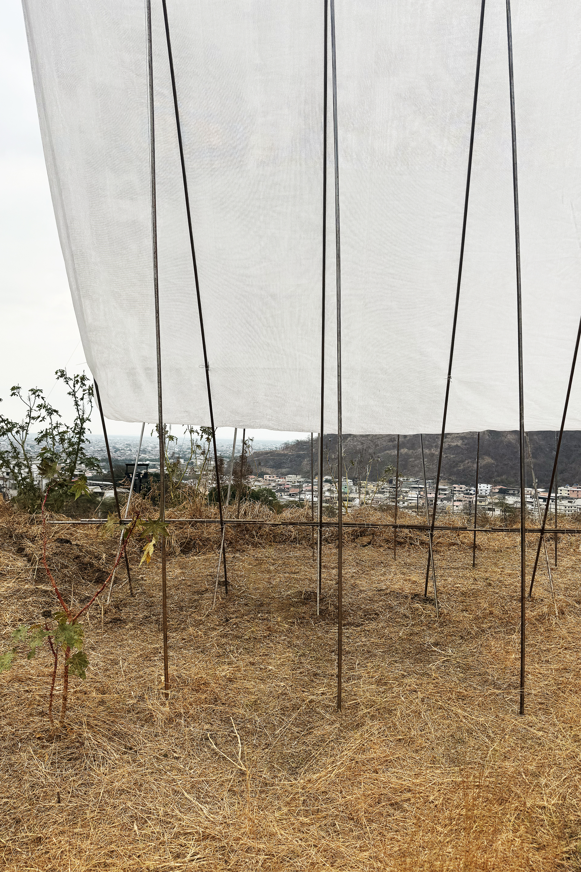 Peru Horizon Pavilion Eletres Studio 秘魯鋼構空間裝置