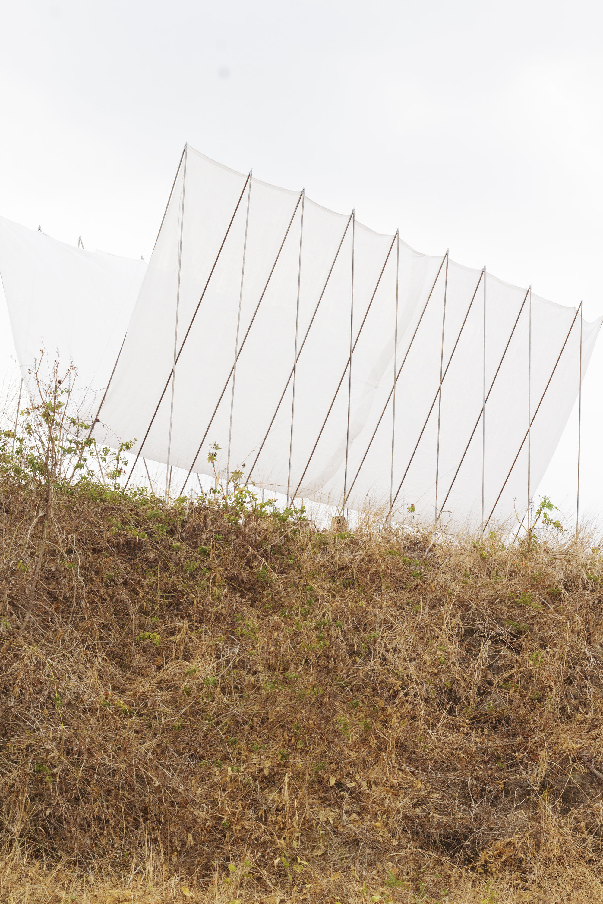 Peru Horizon Pavilion Eletres Studio 秘魯鋼構空間裝置