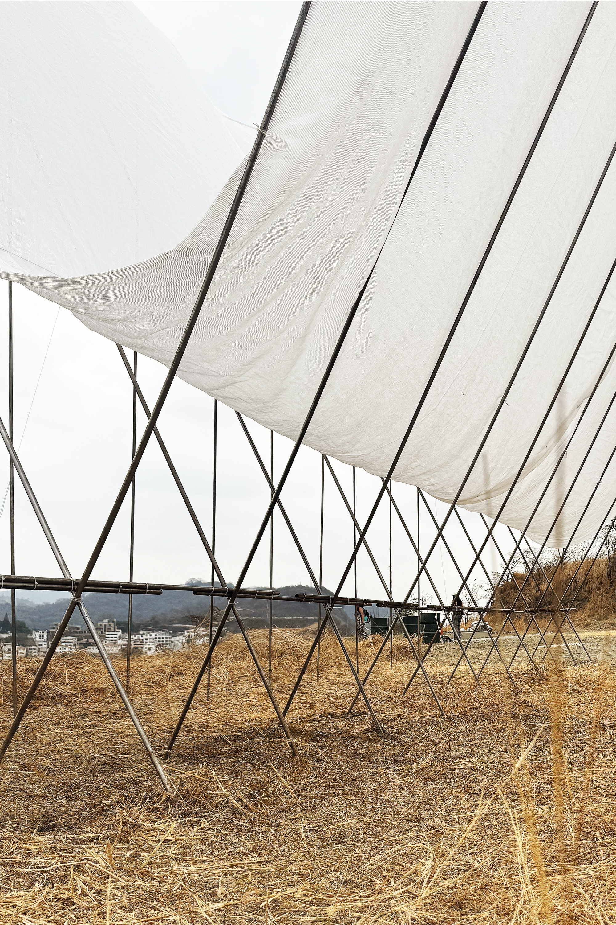 Peru Horizon Pavilion Eletres Studio 秘魯鋼構空間裝置