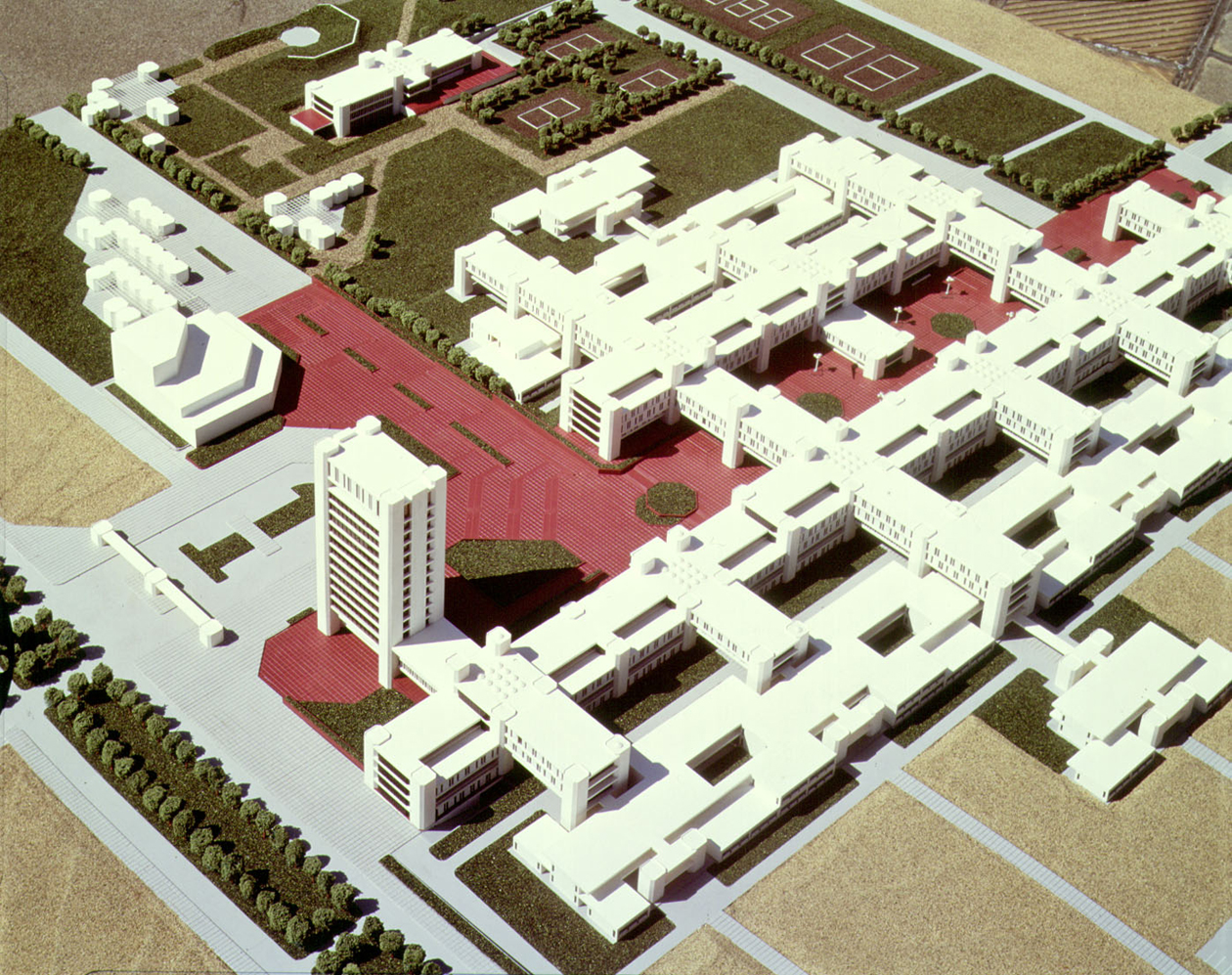 丹下健三在阿爾及利亞的奧蘭綜合大學(Université d'Oran)中,也應用了與《東京計畫1960》類似的城市軸線系統