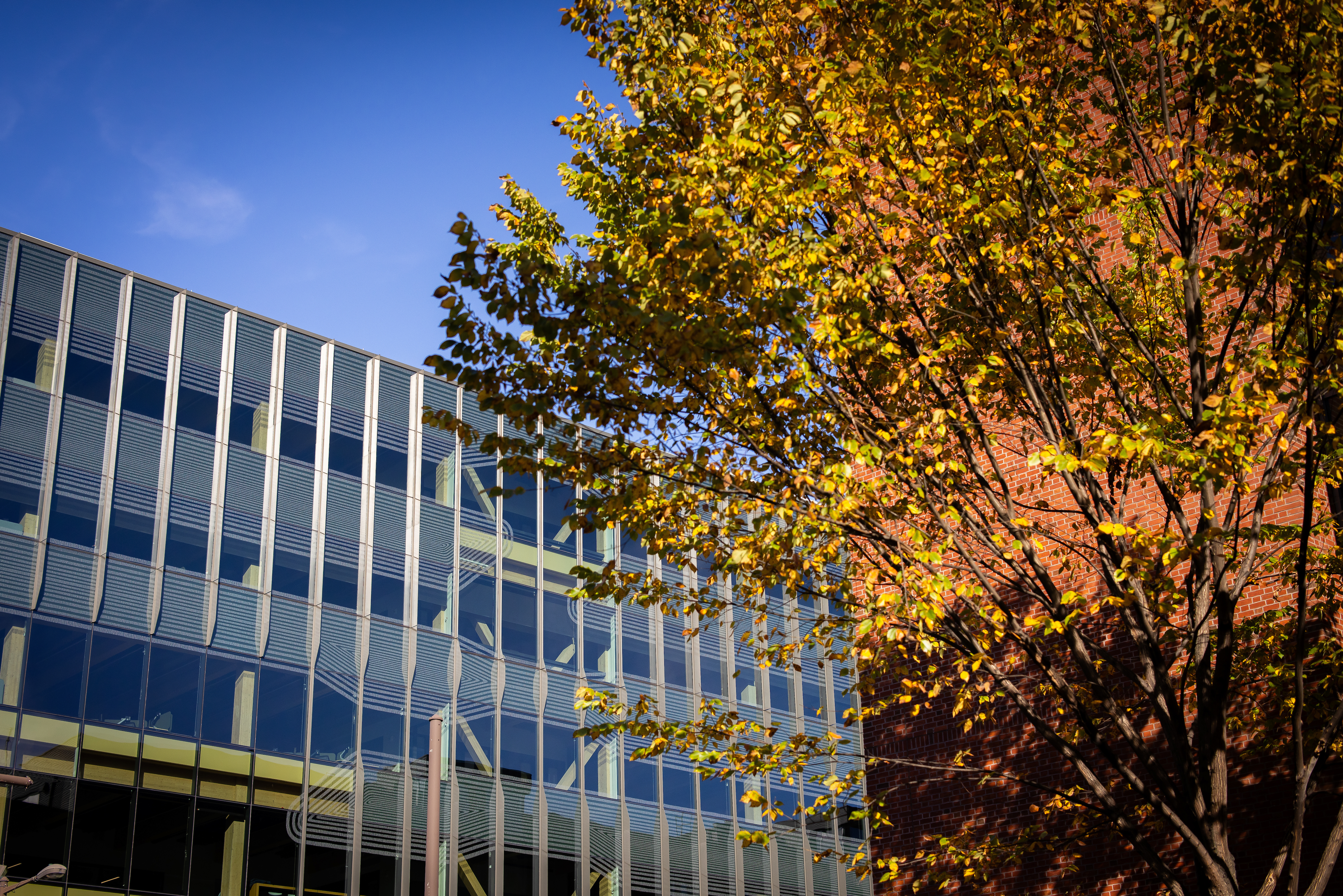 Lake Flato 賓州大學（University of Pennsylvania） 艾美・古特曼大樓（Amy Gutmann Hall）m