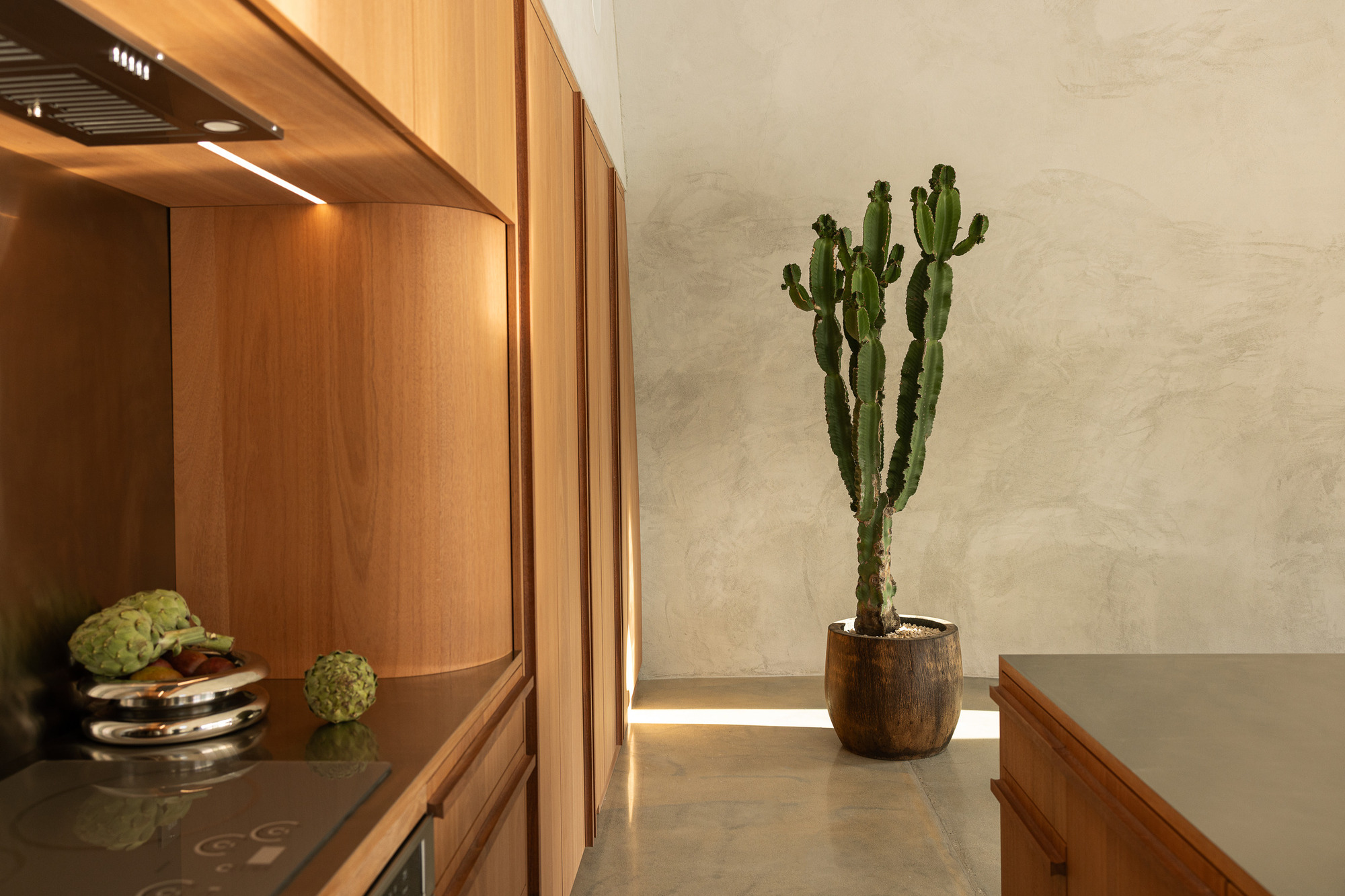 Anastasiya Dudik 美國加州私人住宅 Hata Dome 