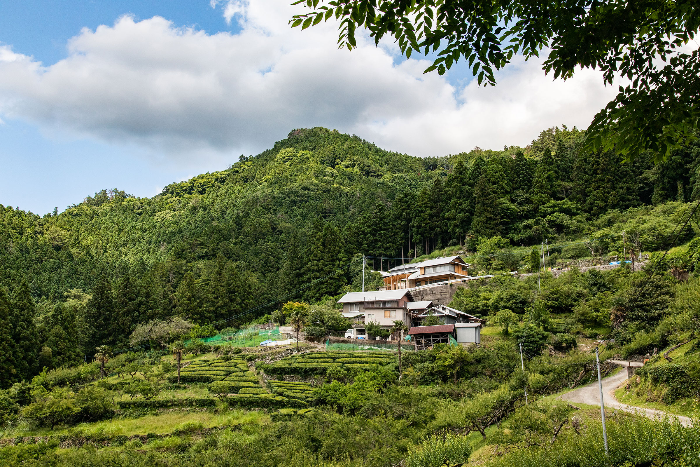 阿曽芙実建築設計事務所 徳島県名西郡神山町 ホマレノモリ（HOMARE NO MORI）