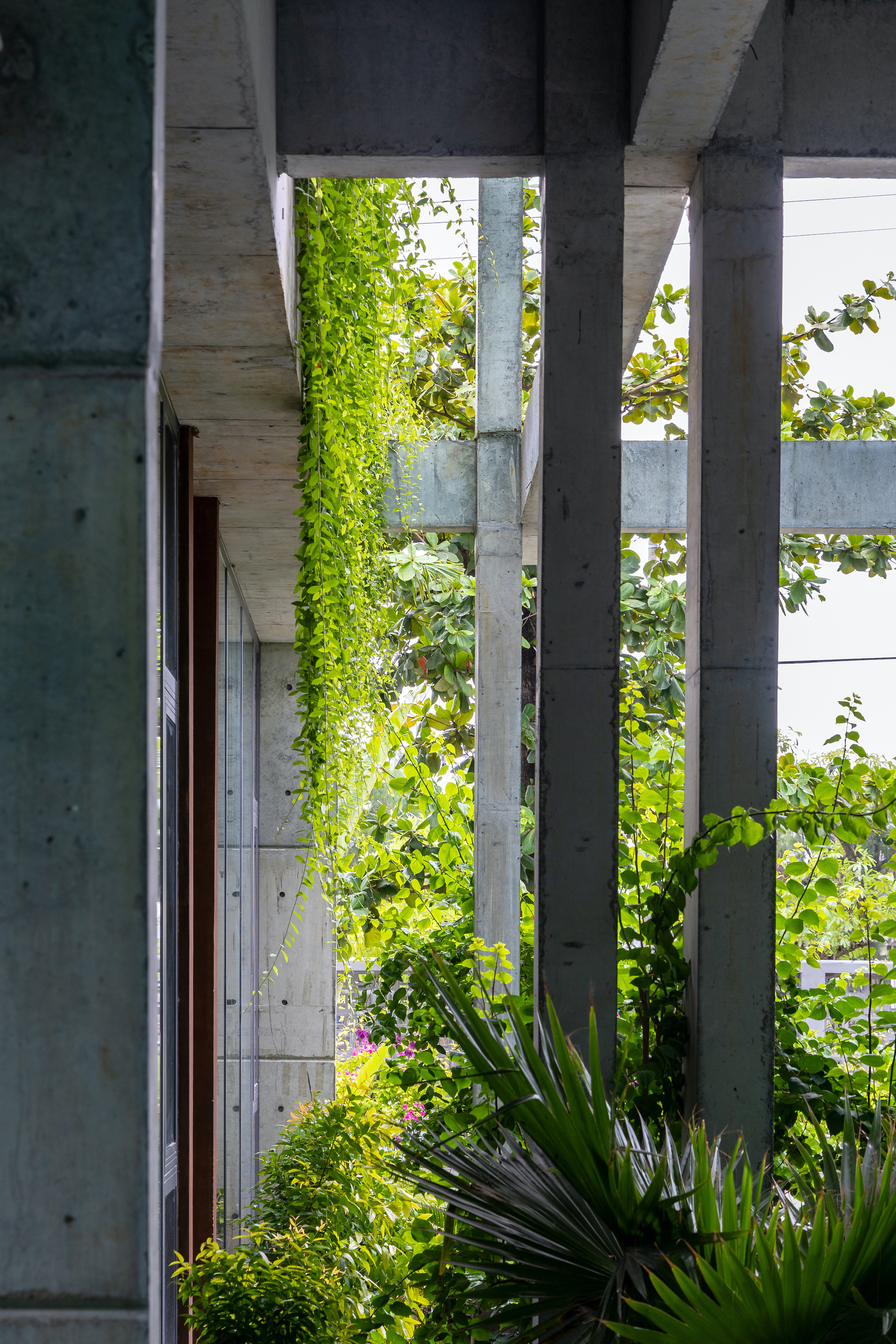 Textile Factory Office 紡織工廠辦公大樓 峴港 越南廠辦 Ho Khue Architects