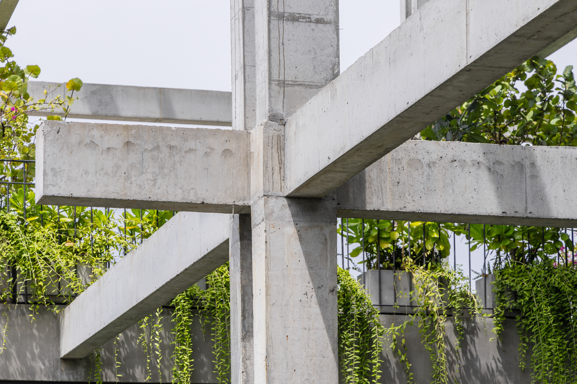 Textile Factory Office 紡織工廠辦公大樓 峴港 越南廠辦 Ho Khue Architects
