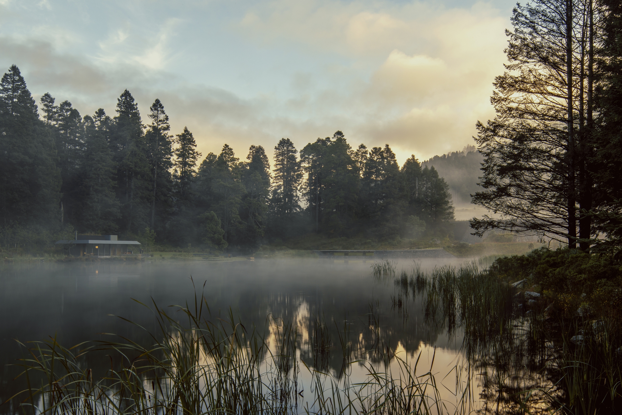 HEMAA Ciudad de México, Mexico 墨西哥 Pavilion of the Reserve 