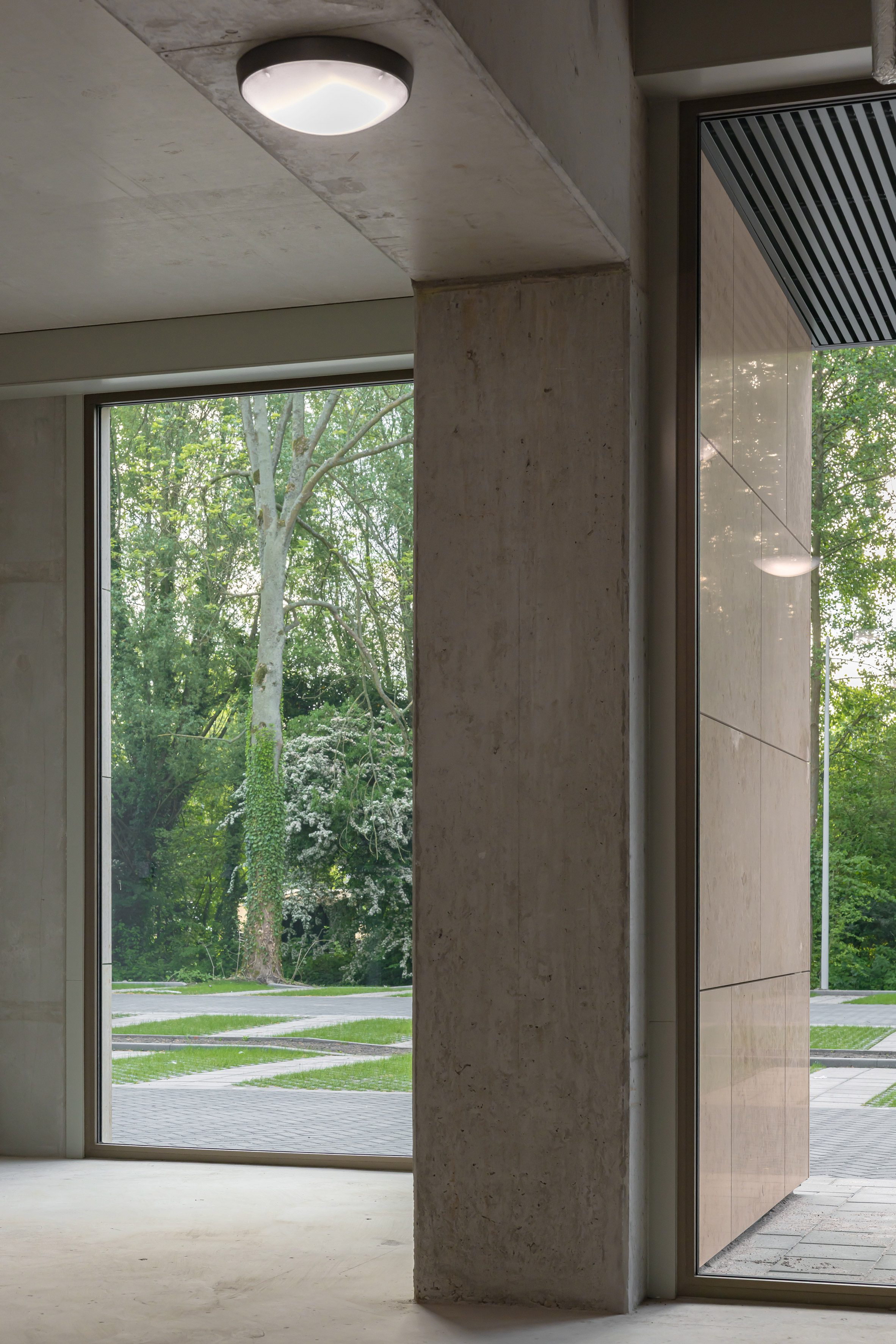 rotterdam valckensteyn powerhouse company mass timber housing 荷蘭木造集合住宅