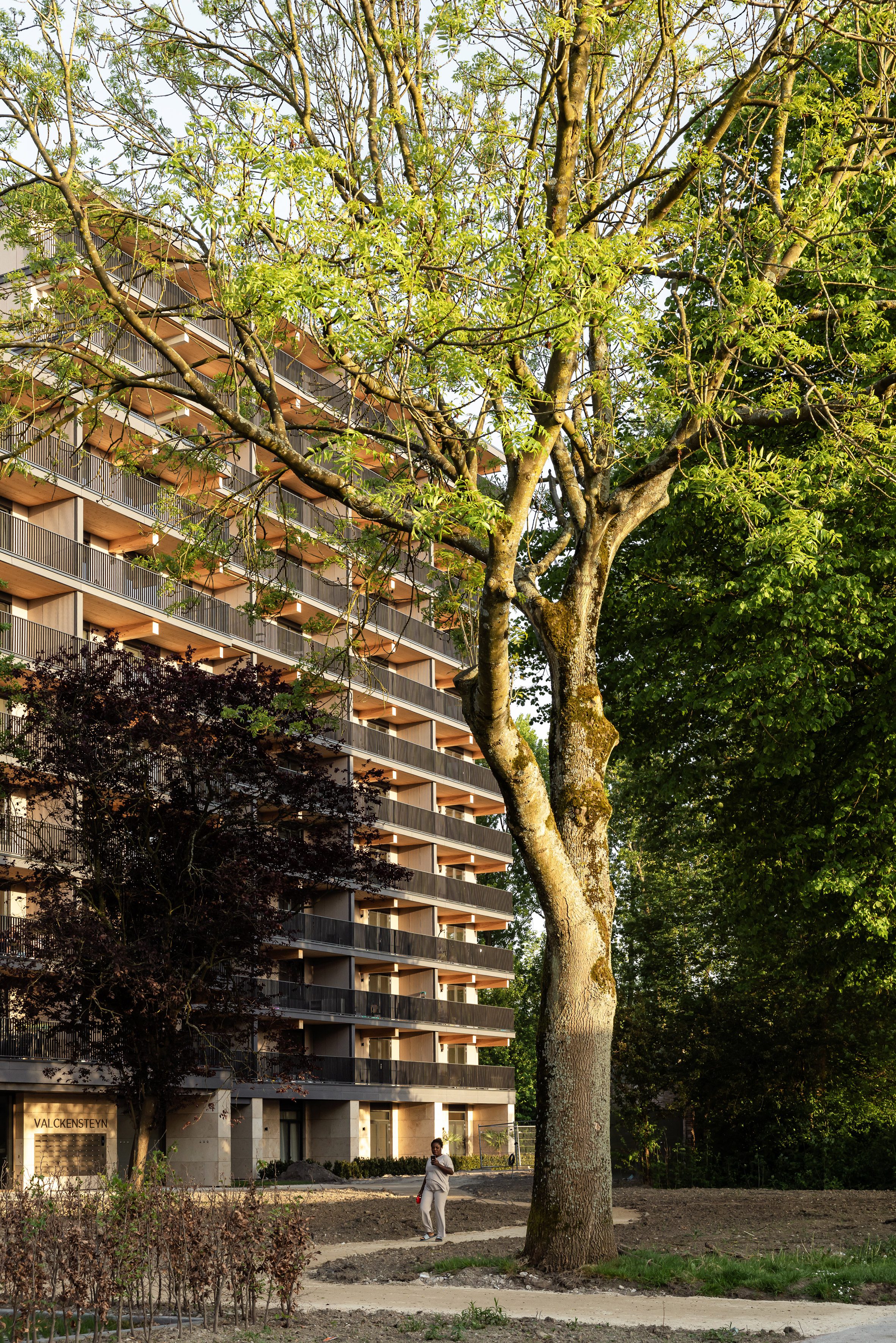 rotterdam valckensteyn powerhouse company mass timber housing 荷蘭木造集合住宅