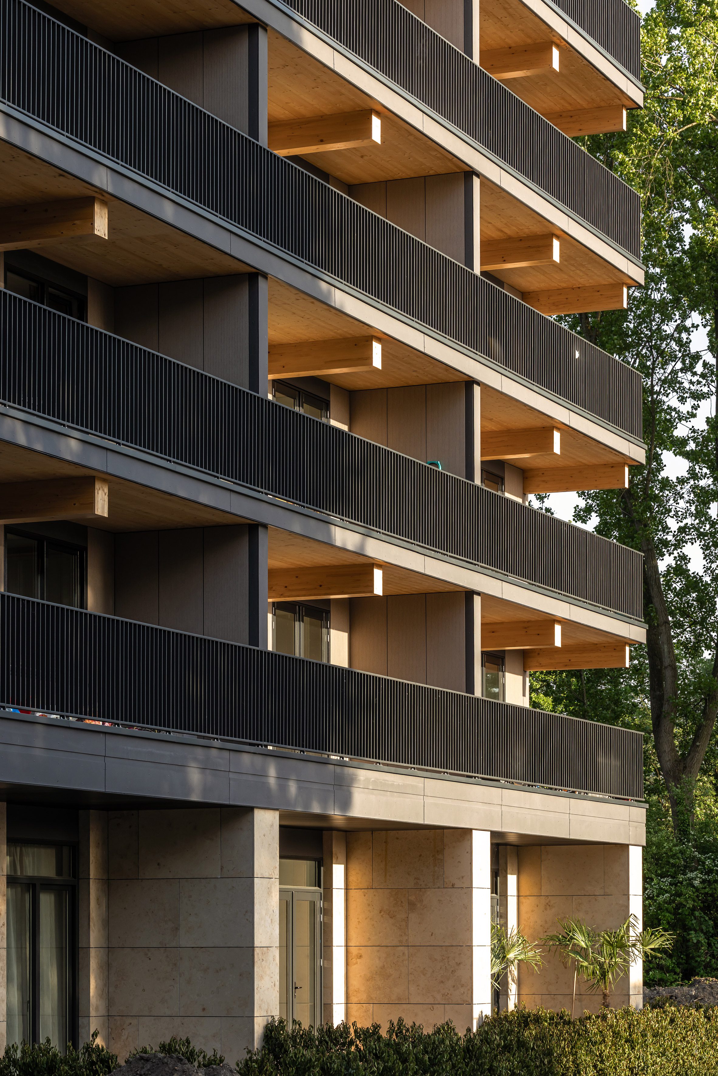 rotterdam valckensteyn powerhouse company mass timber housing 荷蘭木造集合住宅 為了彰顯木構造的溫潤本質,陽台與走道上方的CLT梁與樓板皆採外露設計