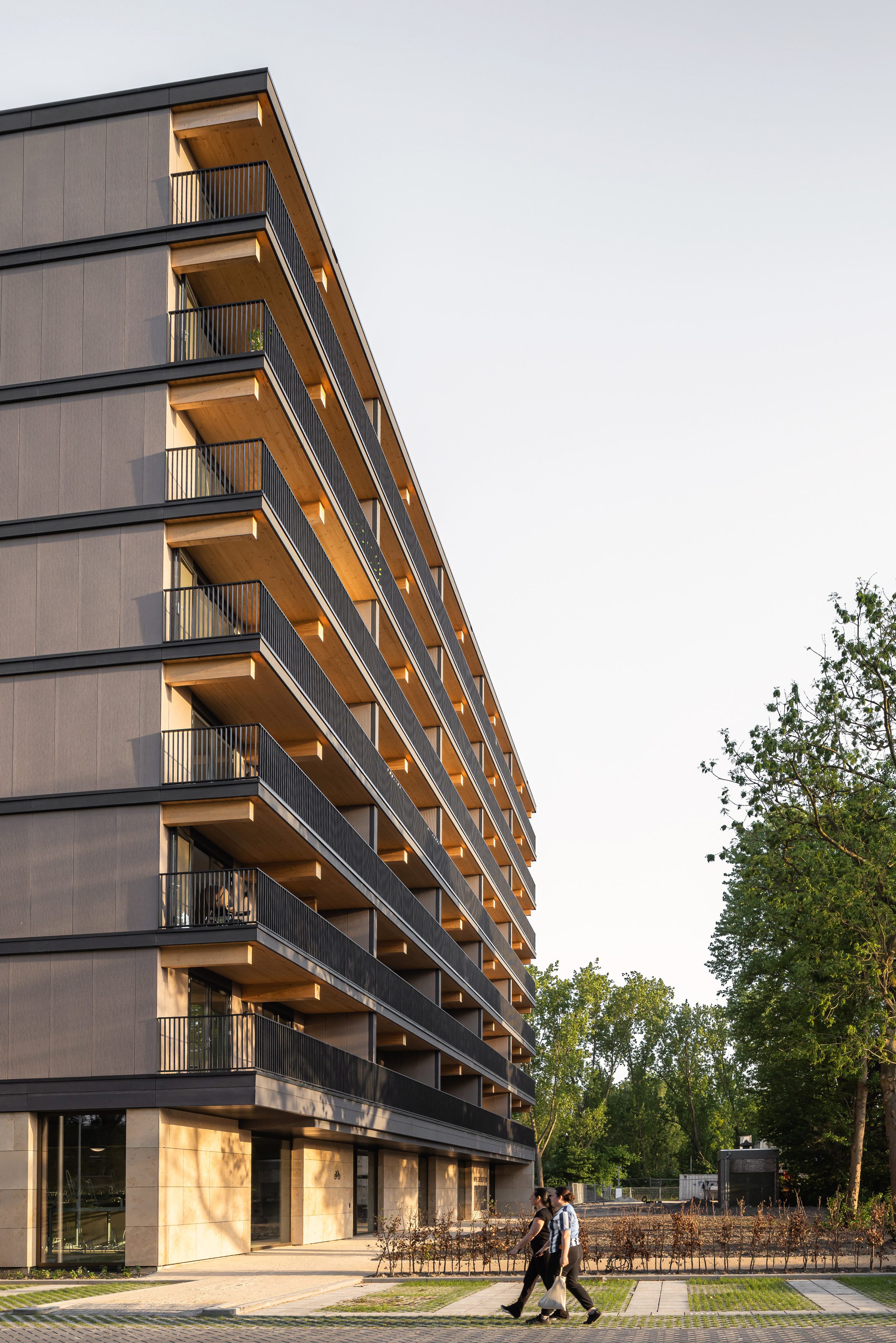 rotterdam valckensteyn powerhouse company mass timber housing 荷蘭木造集合住宅