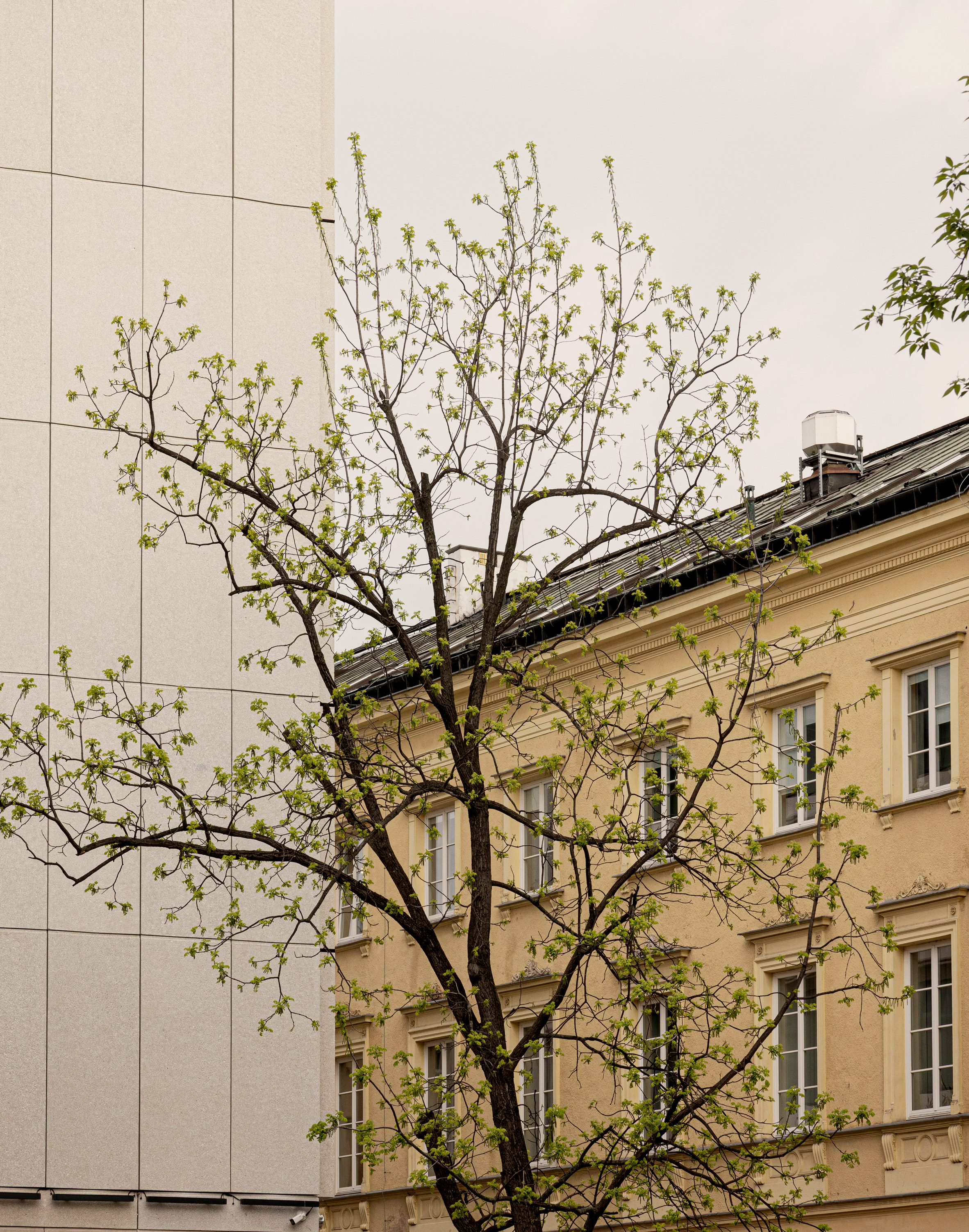 波蘭華沙飯店 室內設計 GamFratesi Puro Warszawa Stare Miasto hotel