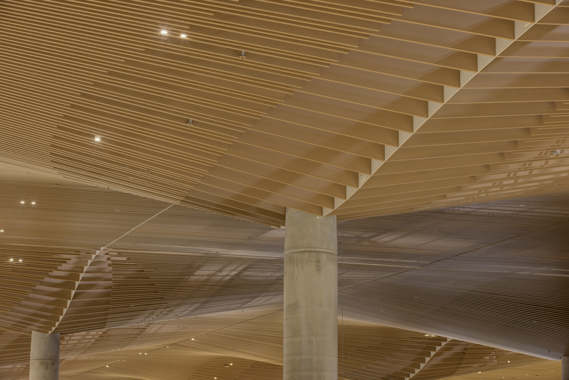 西雪梨國際機場 Western Sydney International Nancy-Bird Walton Airport Zaha Hadid COX Architecture