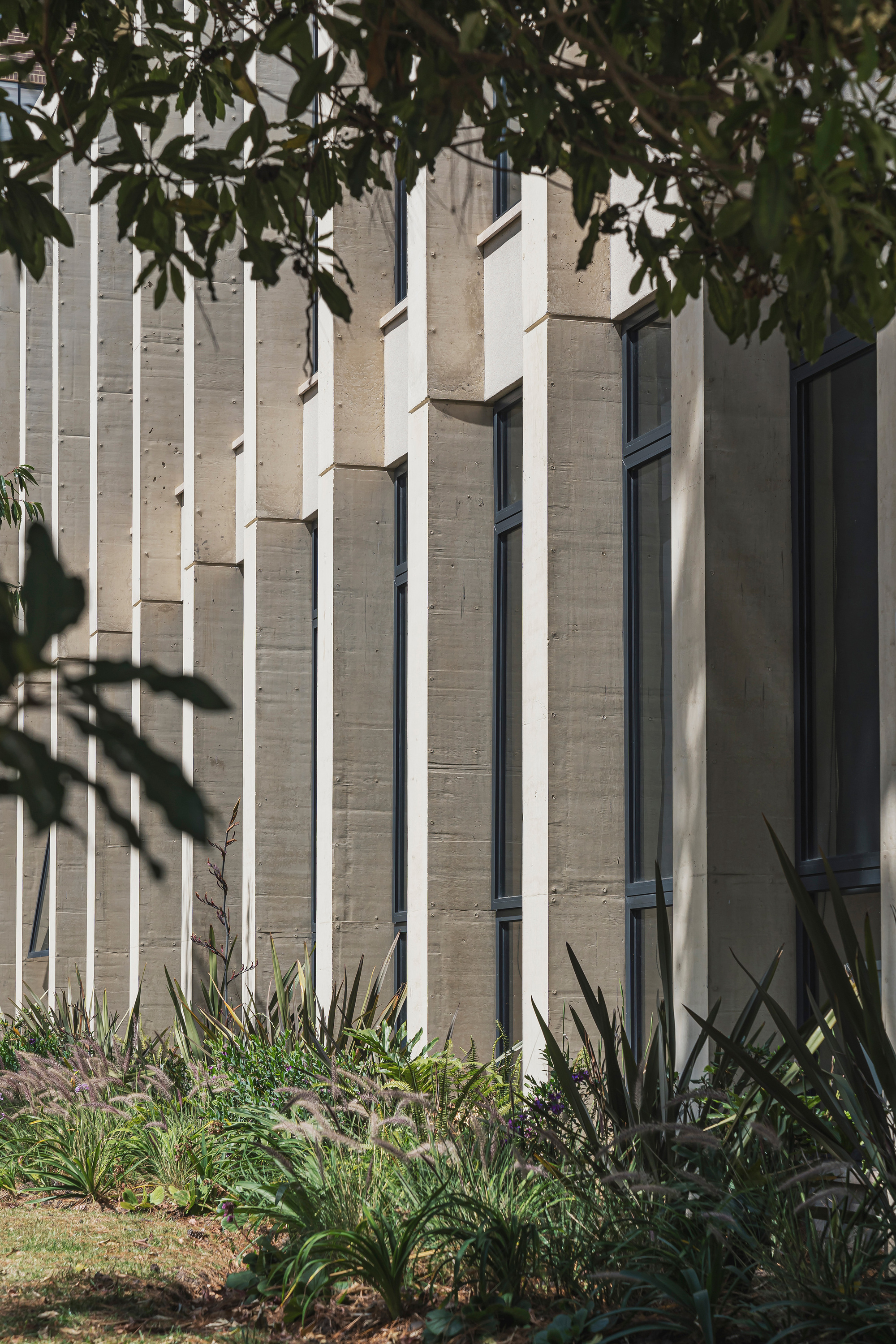 Aarón Cohen 哥倫比亞 Colombo Hebrew College 校園建築 