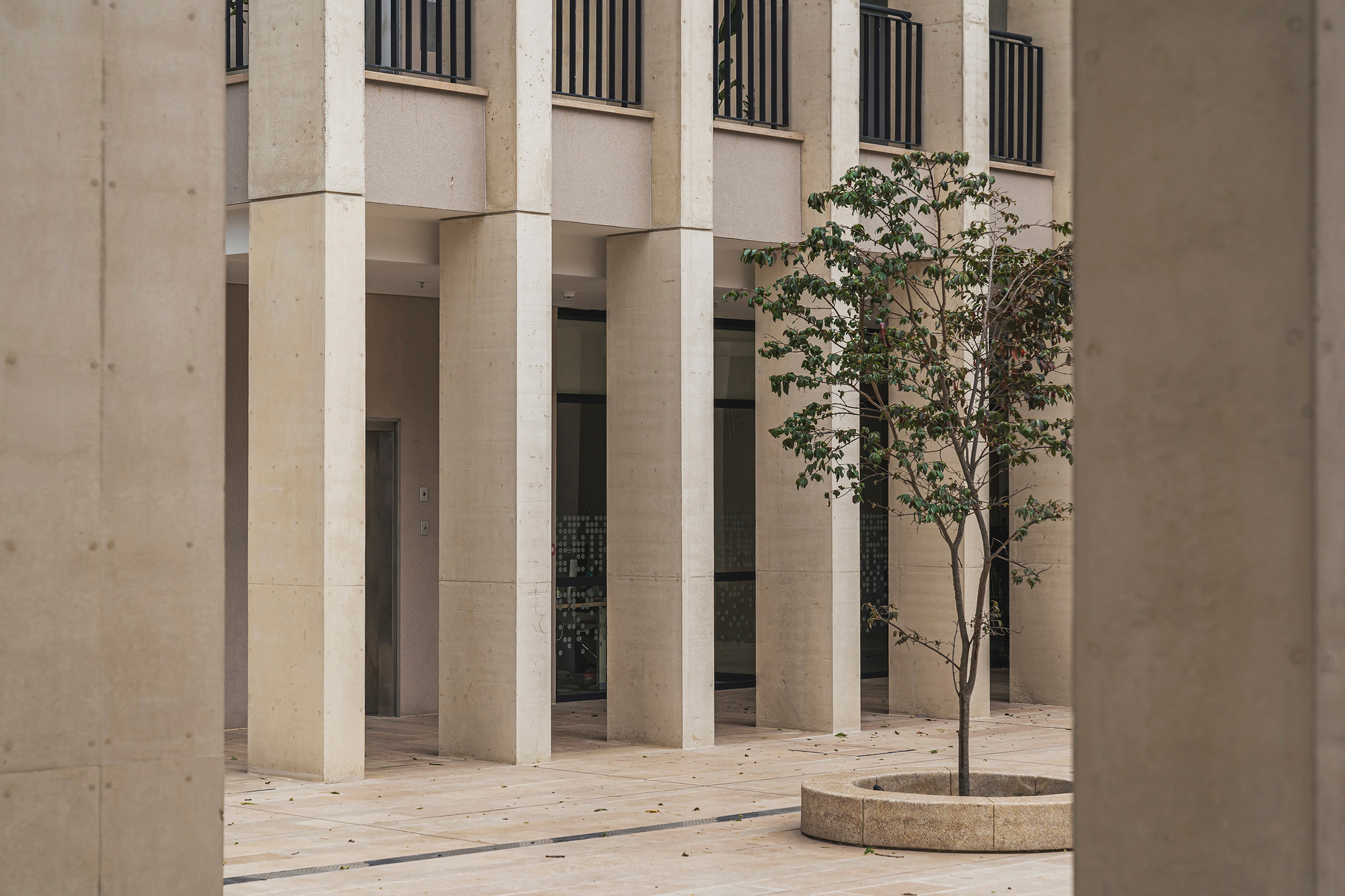 Aarón Cohen 哥倫比亞 Colombo Hebrew College 校園建築 