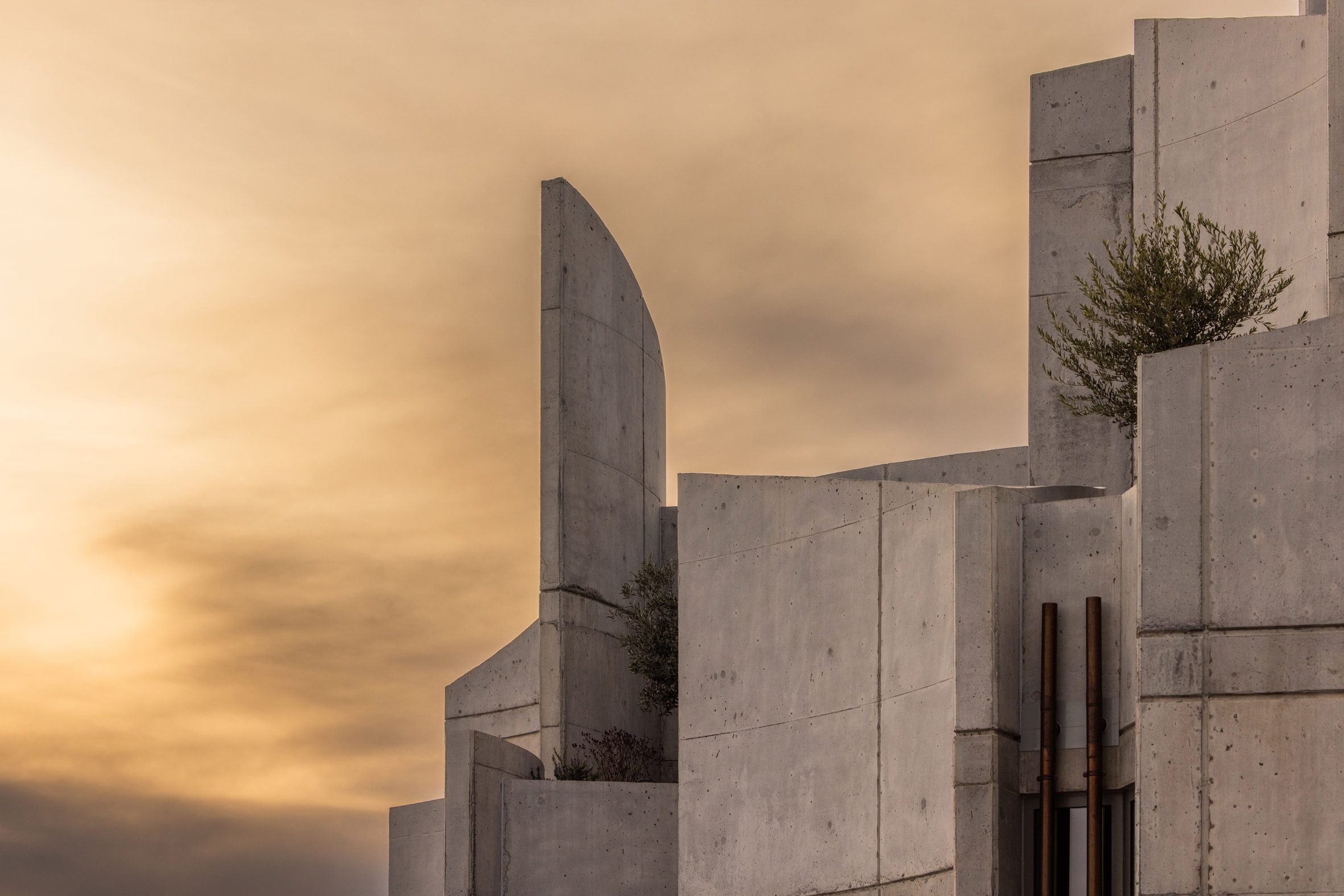 Davide Macullo Architects 阿爾巴尼亞 獸醫院