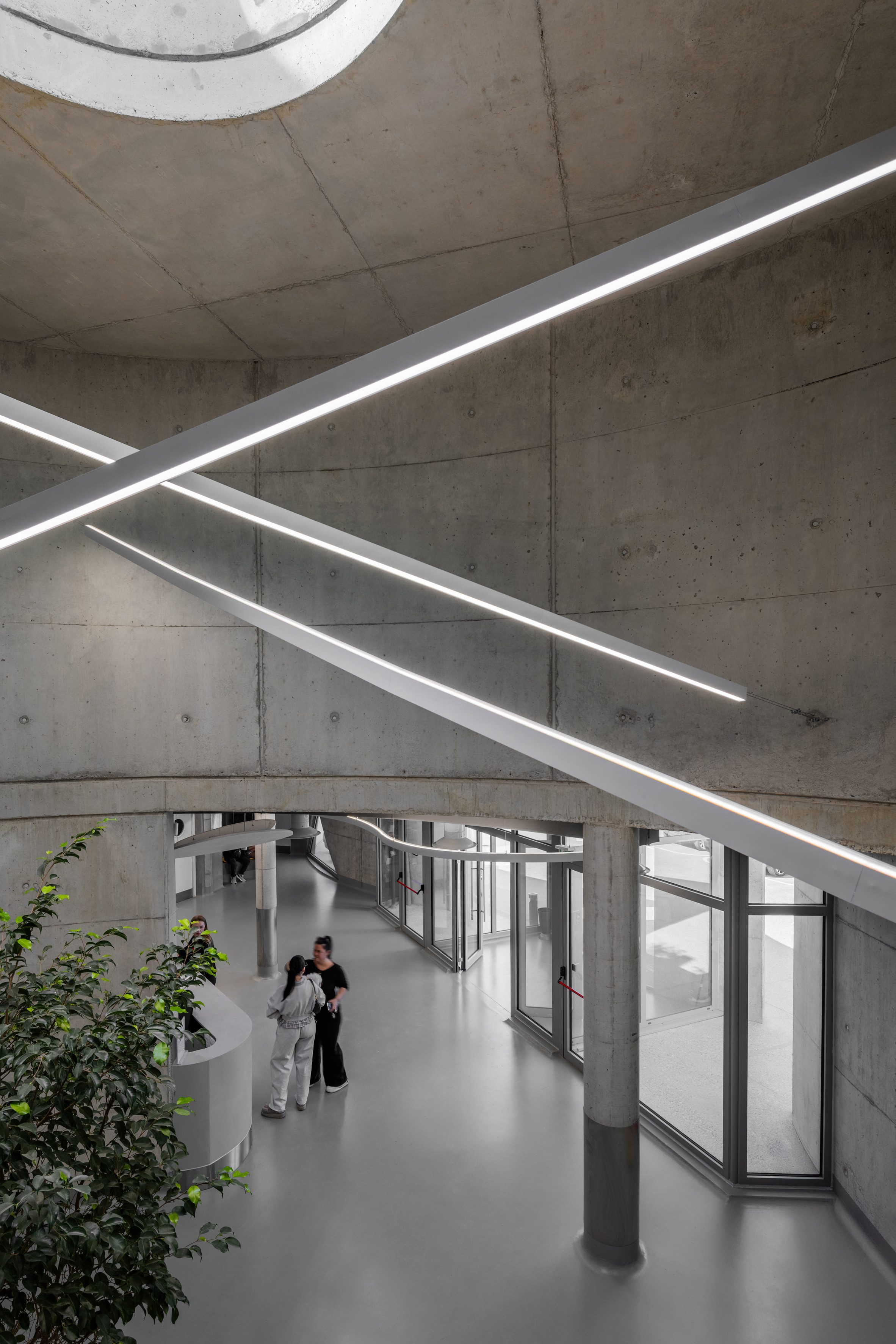 Davide Macullo Architects 阿爾巴尼亞 獸醫院