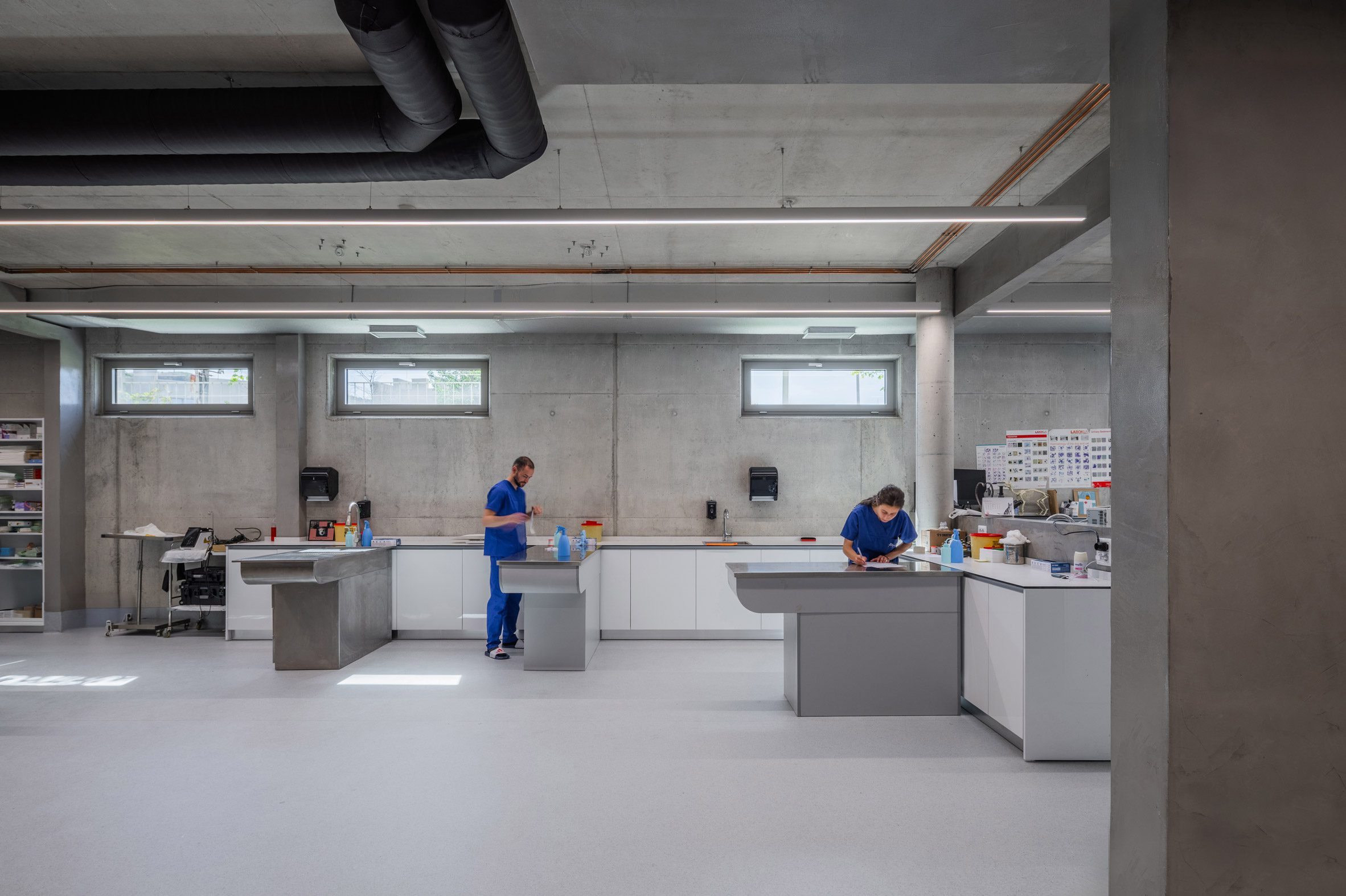 Davide Macullo Architects 阿爾巴尼亞 獸醫院