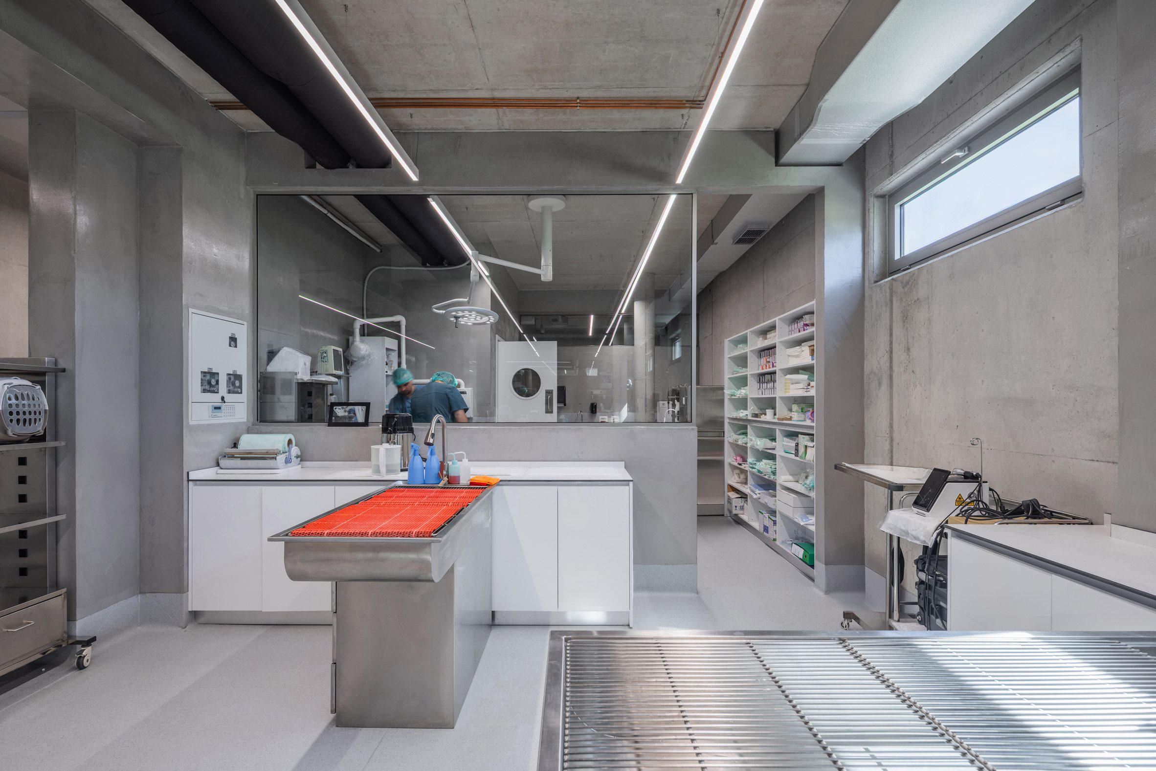 Davide Macullo Architects 阿爾巴尼亞 獸醫院