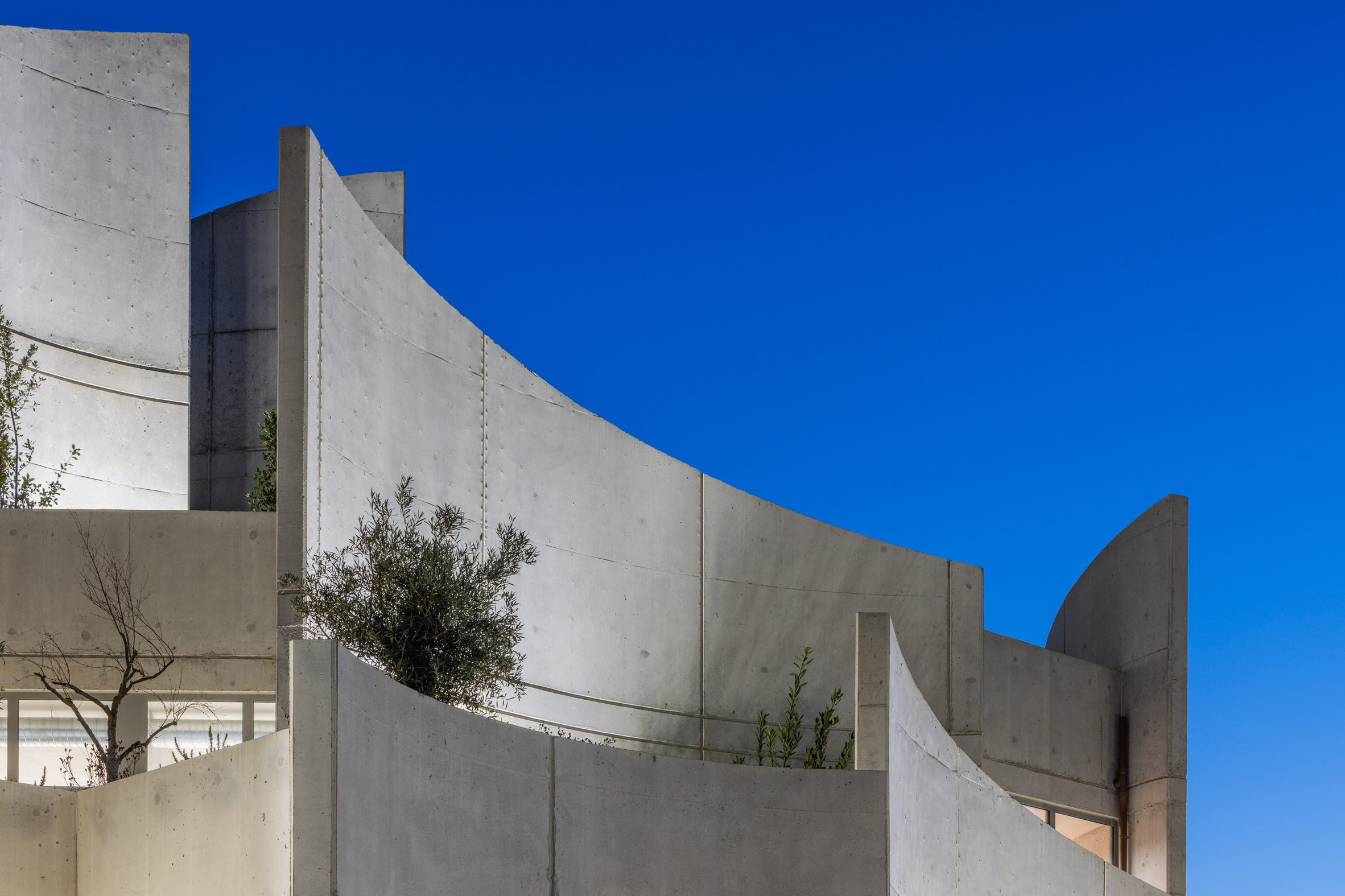 Davide Macullo Architects 阿爾巴尼亞 獸醫院