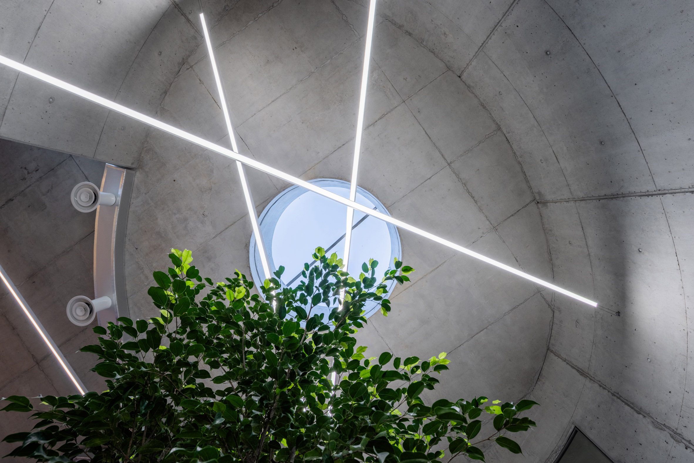 Davide Macullo Architects 阿爾巴尼亞 獸醫院