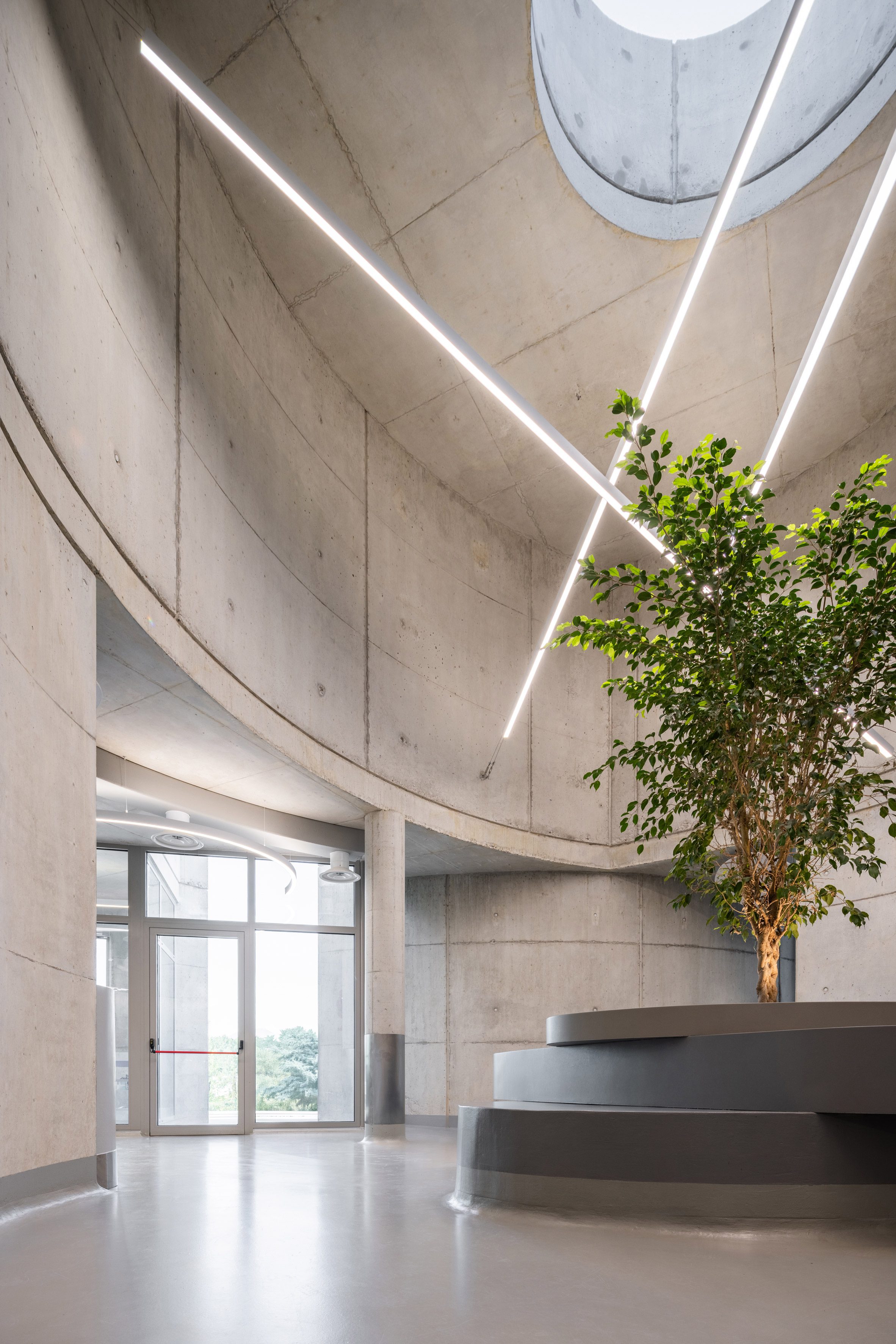 Davide Macullo Architects 阿爾巴尼亞 獸醫院