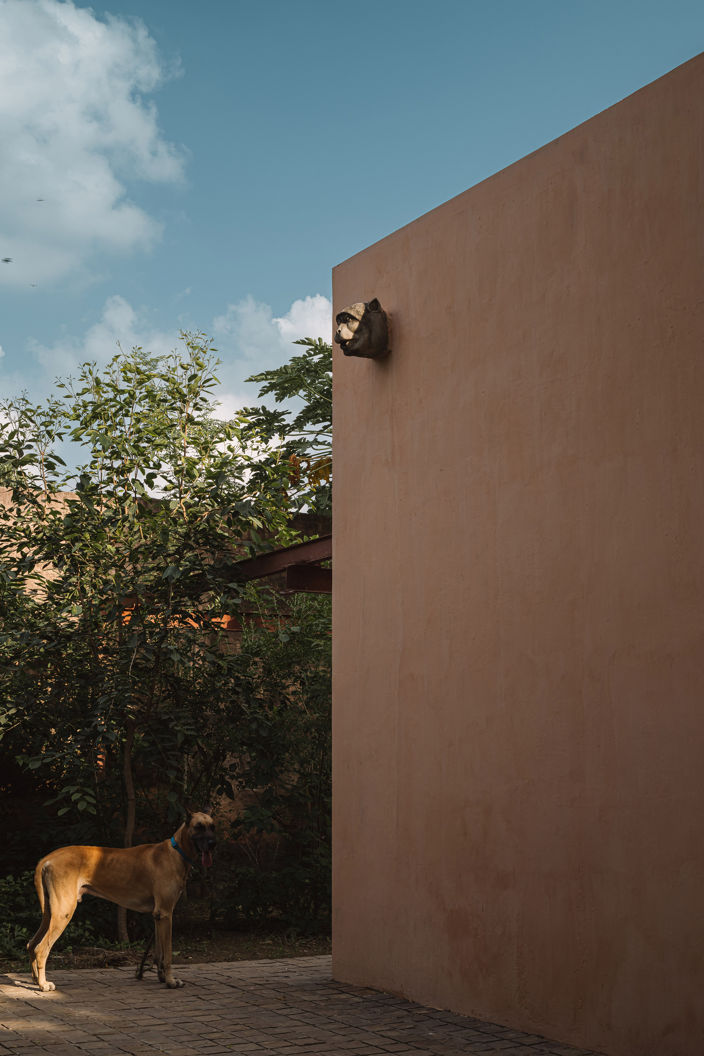 Iksoi Studio 印度古吉拉特邦（Gujarat）阿默達巴德（Ahmedabad）舊工廠改造 辦公室 