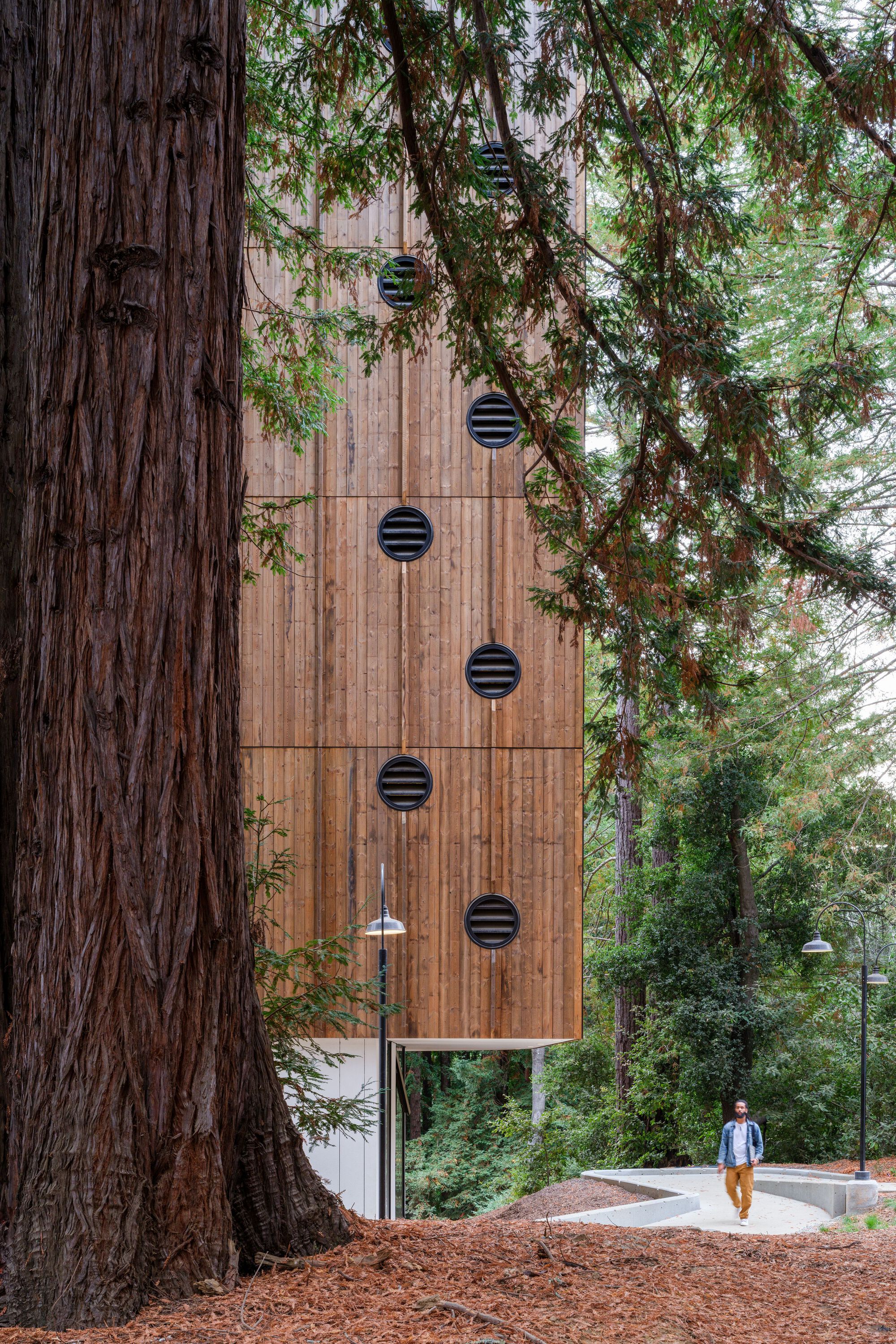 Kresge College Expansion / Studio Gang - Exterior Photography, Wood