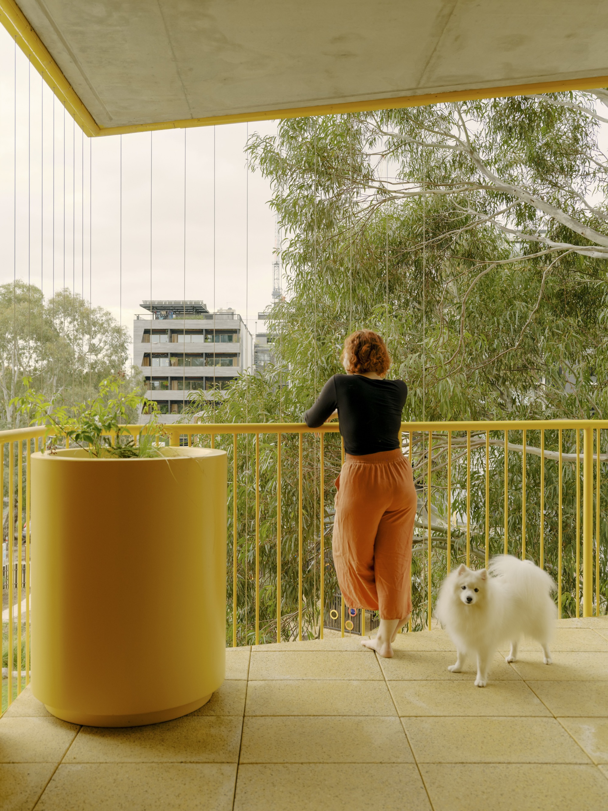 Austin Maynard Architects 澳洲集合住宅 Brunswick ParkLife 