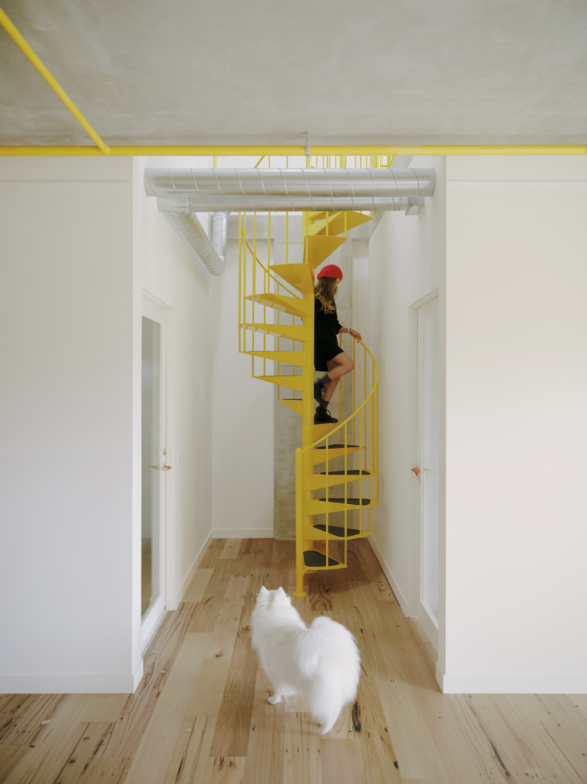 Austin Maynard Architects 澳洲集合住宅 Brunswick ParkLife 