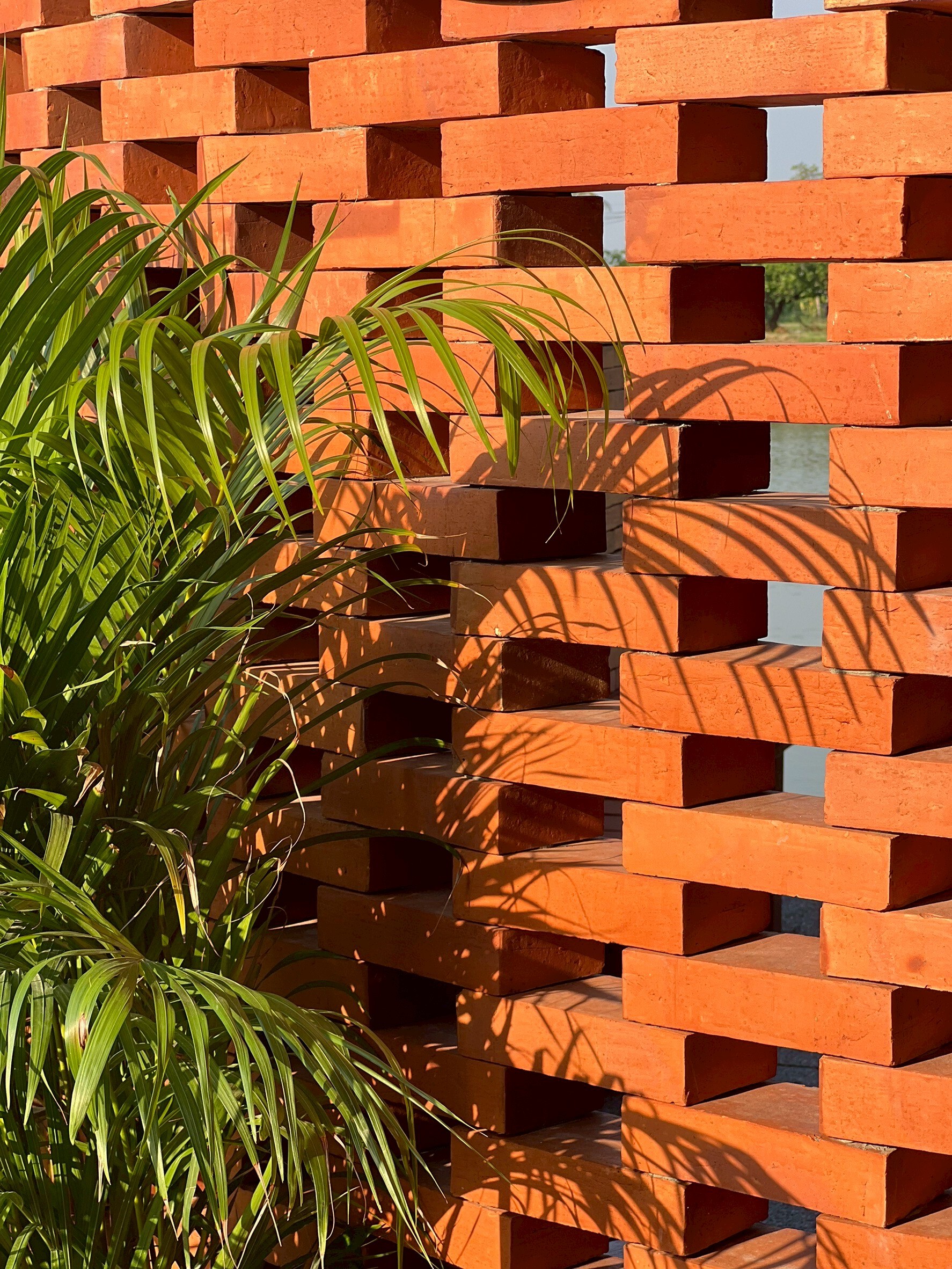 Terracotta Cafe / Studio Bewell - Image 24 of 33