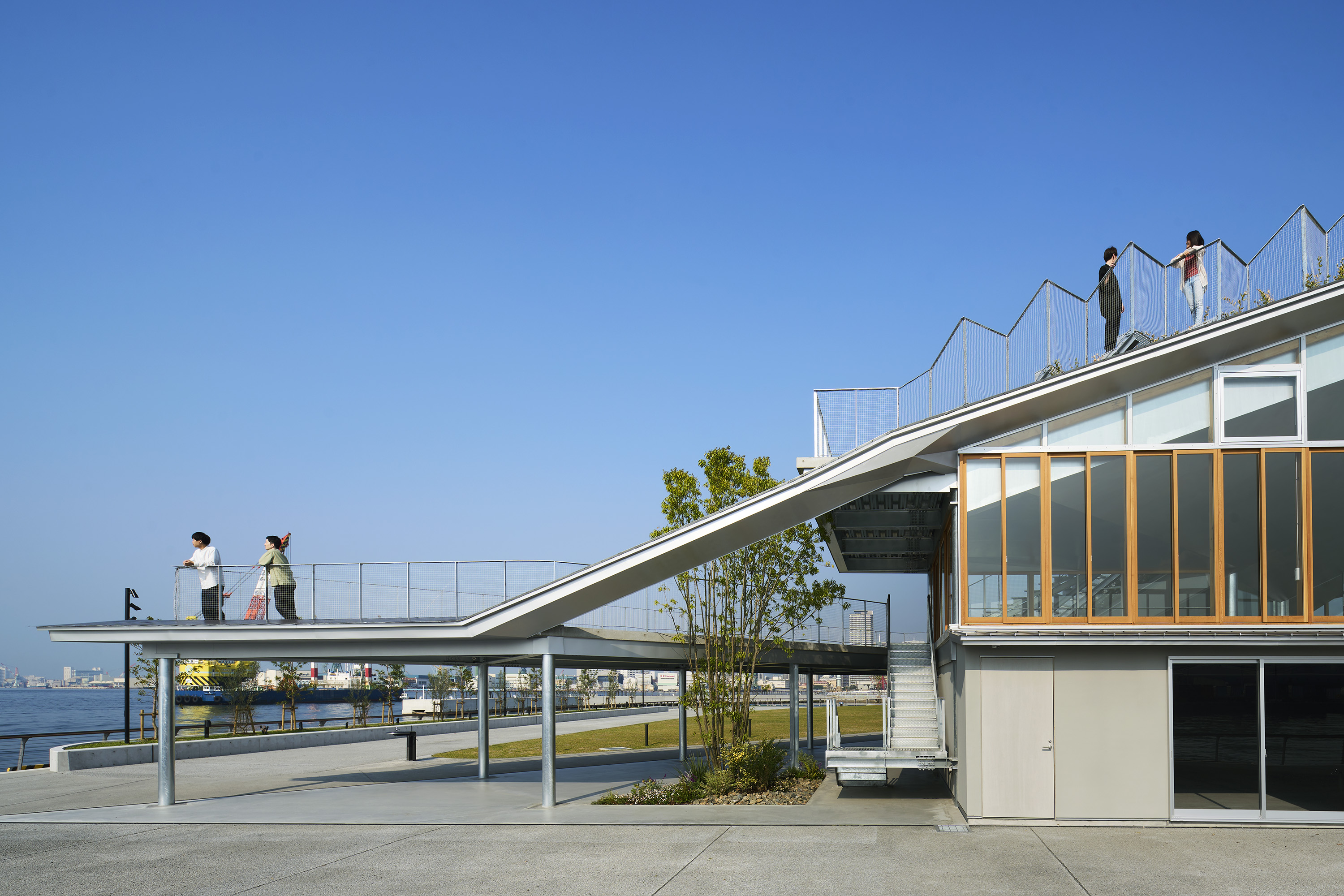 畑友洋 神戶新港 TOTTEI Green Hill 