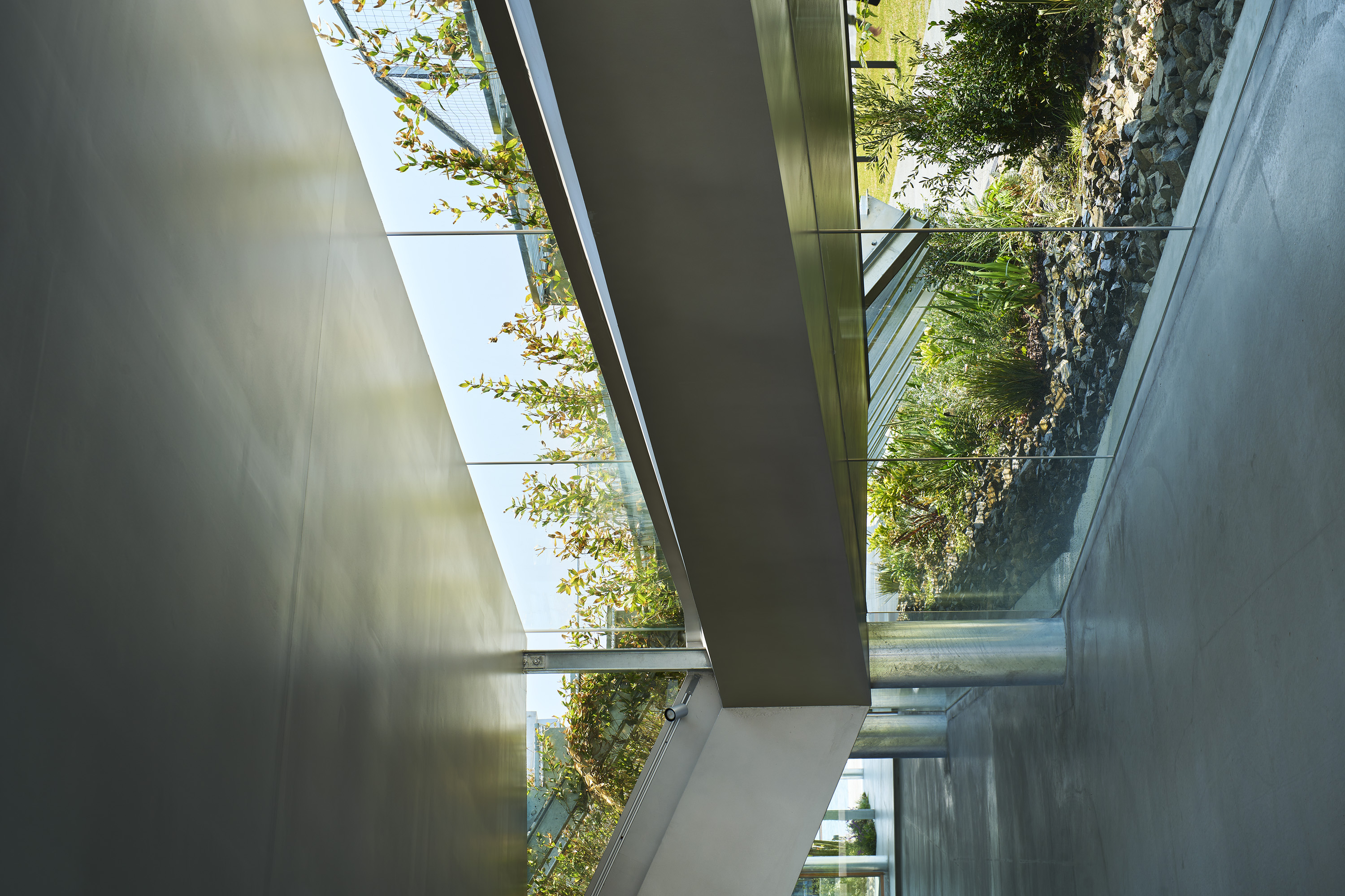 畑友洋 神戶新港 TOTTEI Green Hill 