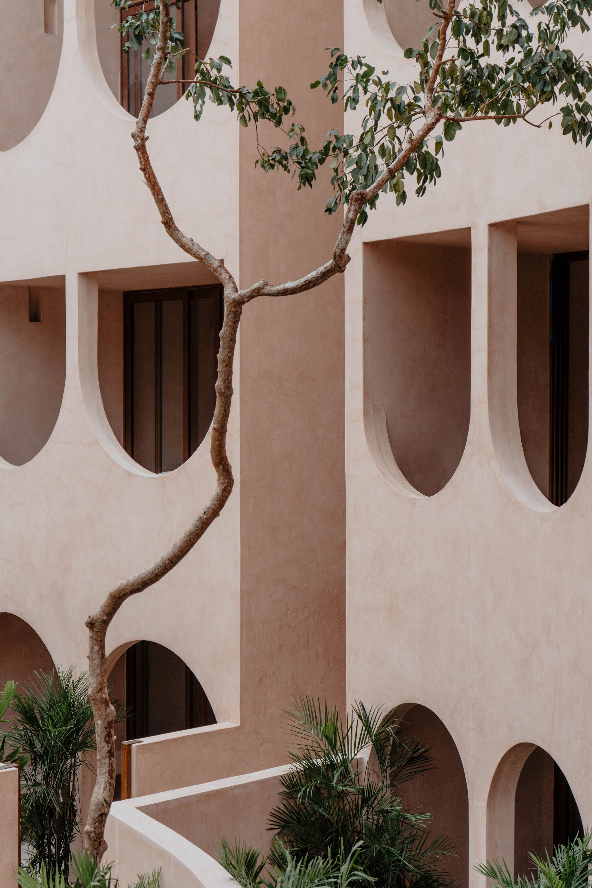 V Taller Tulum 巴別 Babel 住宅群