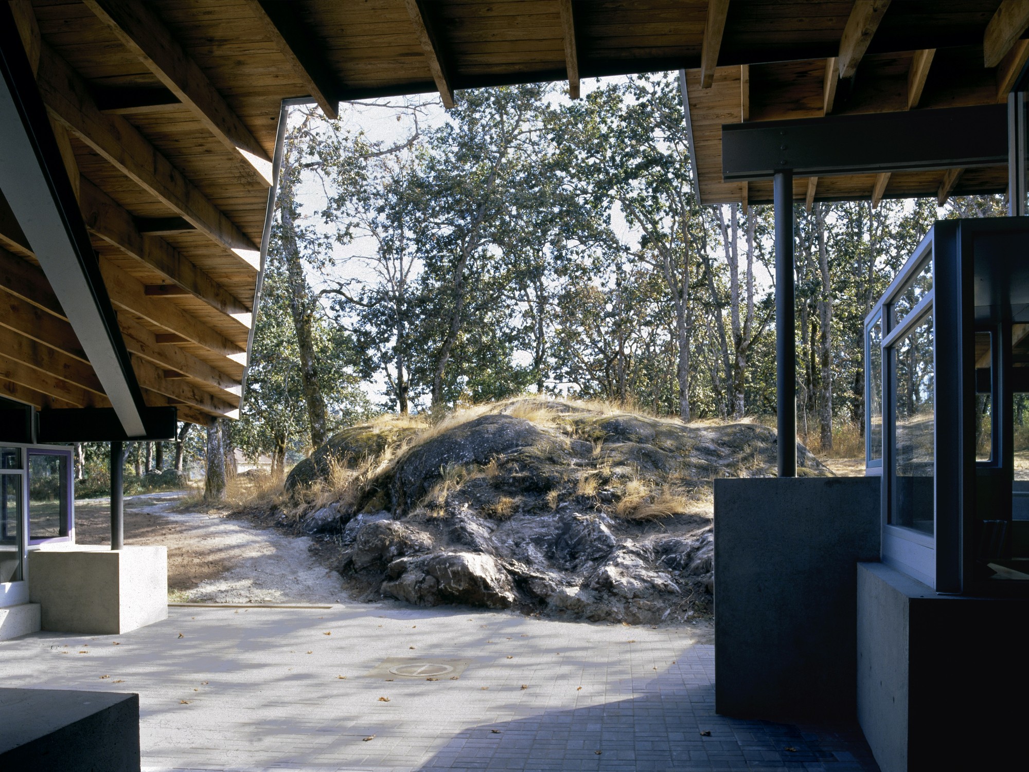 充滿動感且不規則的屋頂輪廓線，是草莓谷小學最引人注目的視覺焦點