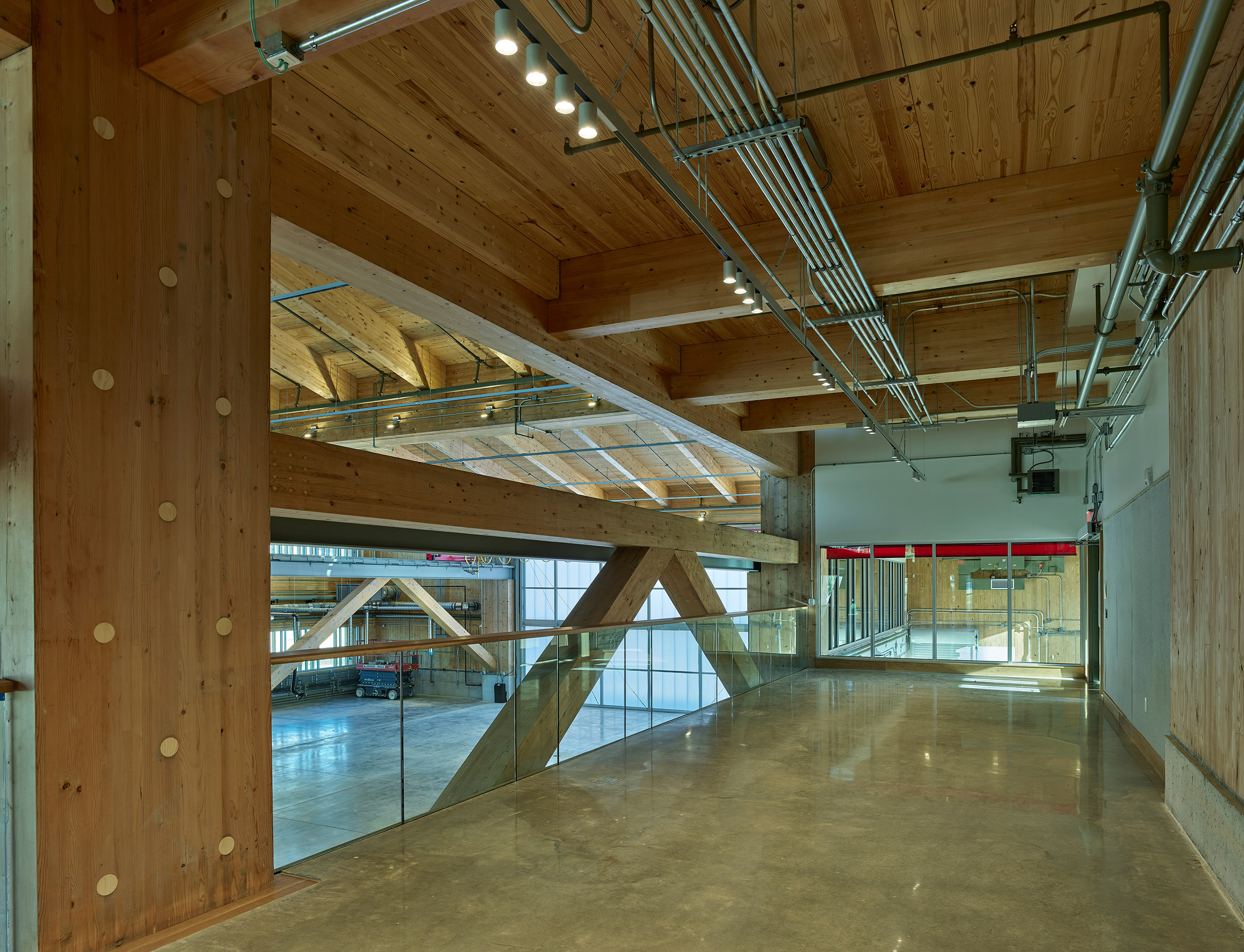 Grafton Architects University of Arkansas Anthony Timberlands Center for Design and Materials Innovation 多層次實木結構 mass-timber 木構