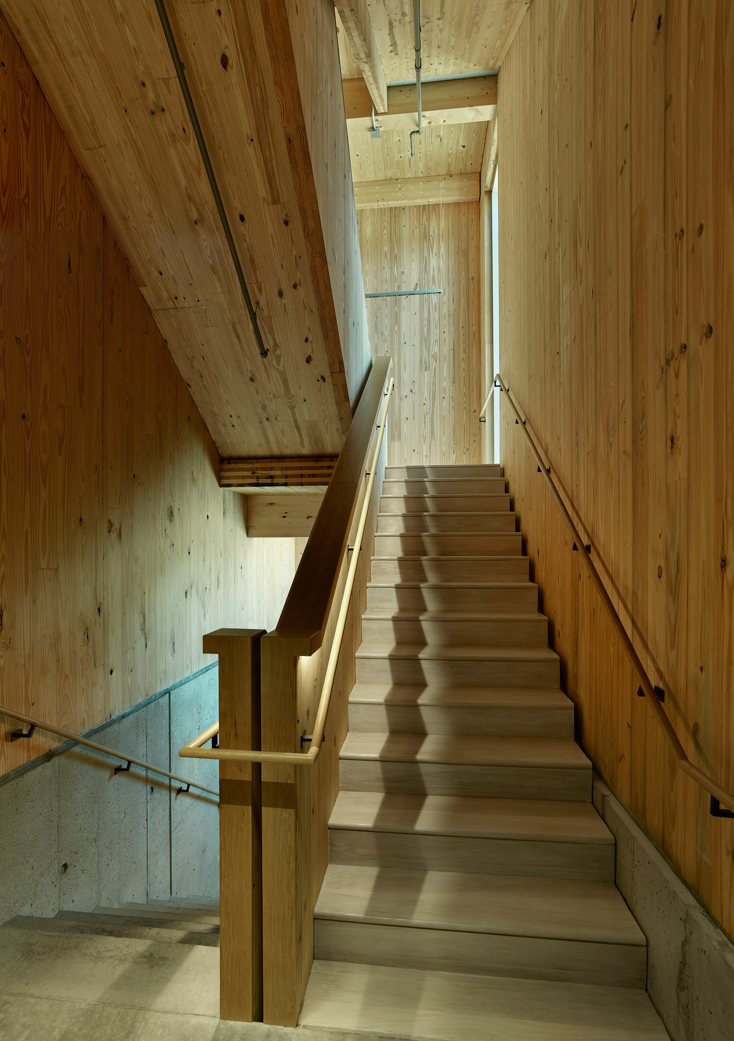 Grafton Architects University of Arkansas Anthony Timberlands Center for Design and Materials Innovation 多層次實木結構 mass-timber 木構