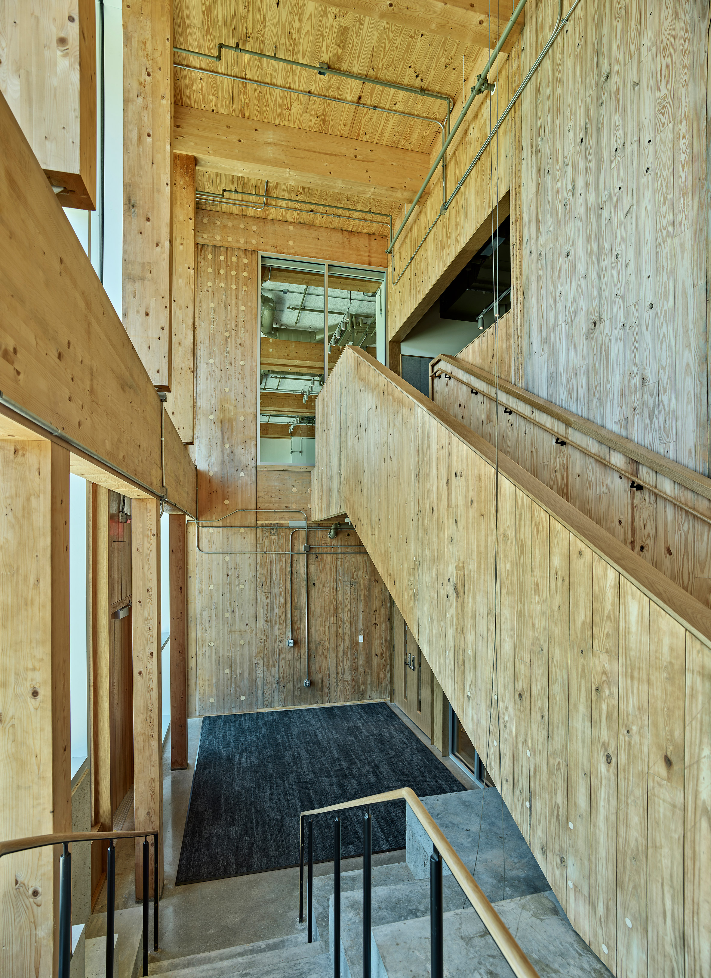 Grafton Architects University of Arkansas Anthony Timberlands Center for Design and Materials Innovation 多層次實木結構 mass-timber 木構
