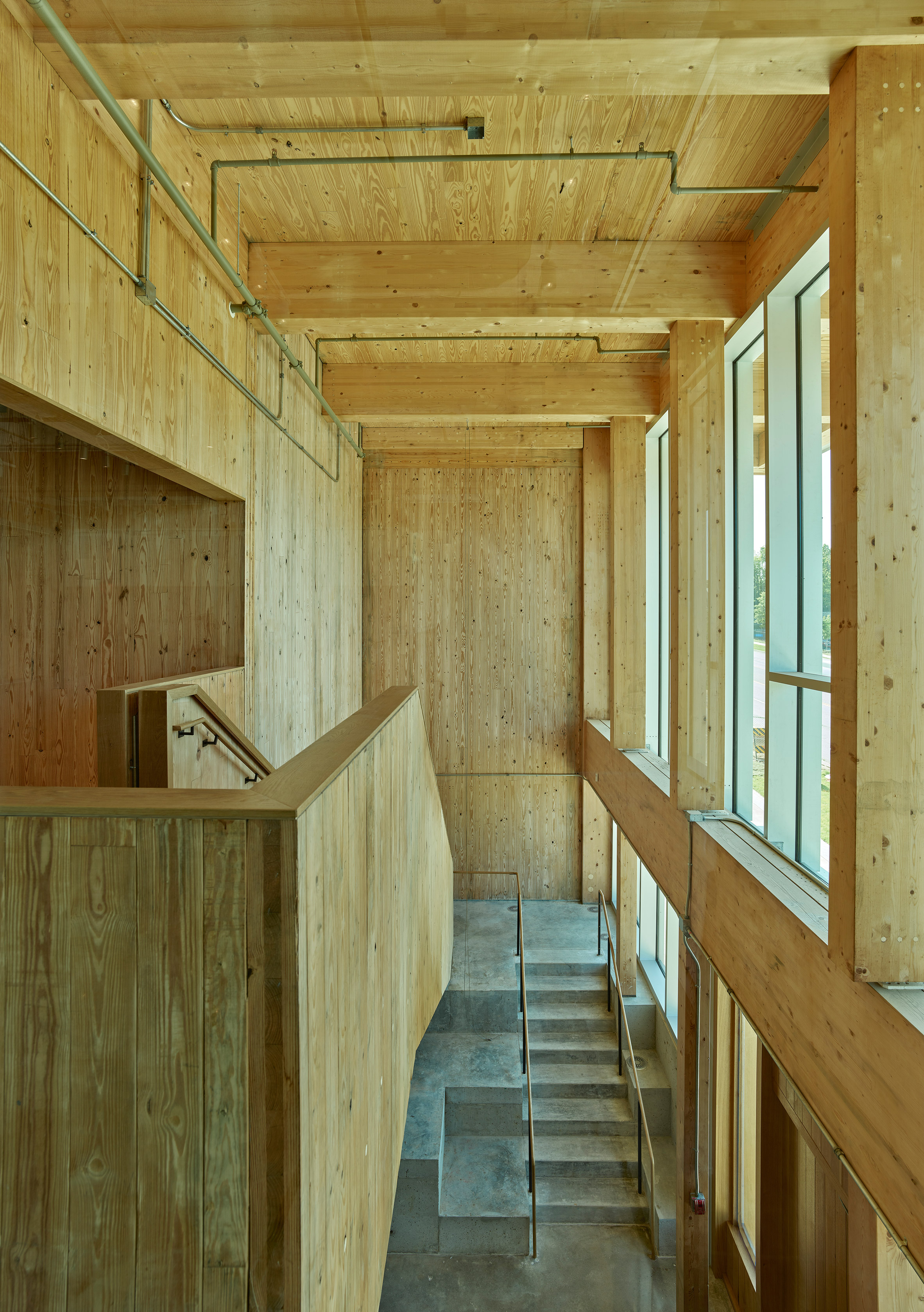 Grafton Architects University of Arkansas Anthony Timberlands Center for Design and Materials Innovation 多層次實木結構 mass-timber 木構