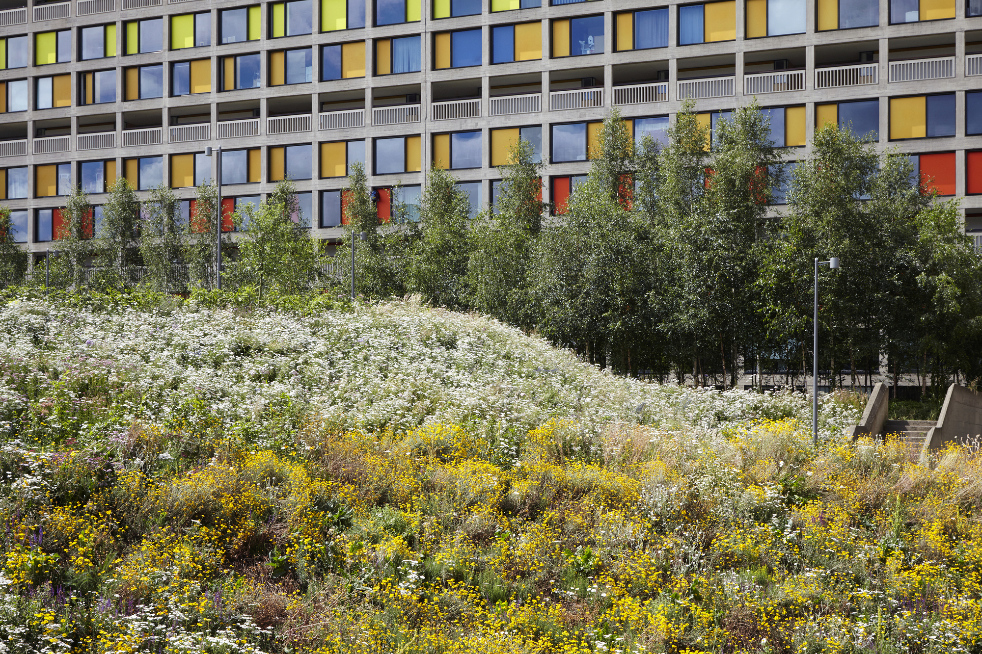 Park Hill Phase 1 by HawkinsBrown and Studio Egret West. Image © Jack Hobhouse