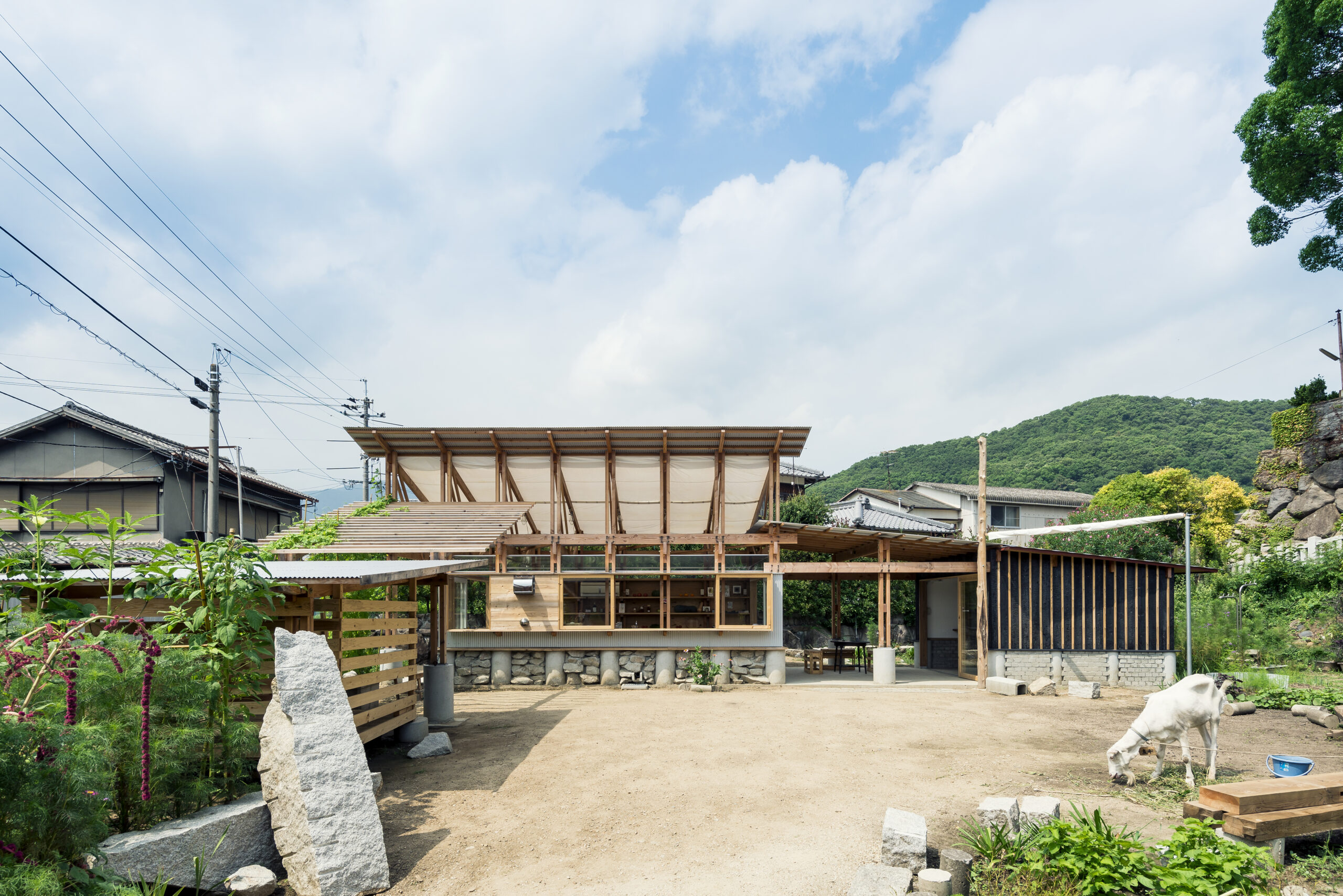 photo by Yoshiro Masuda