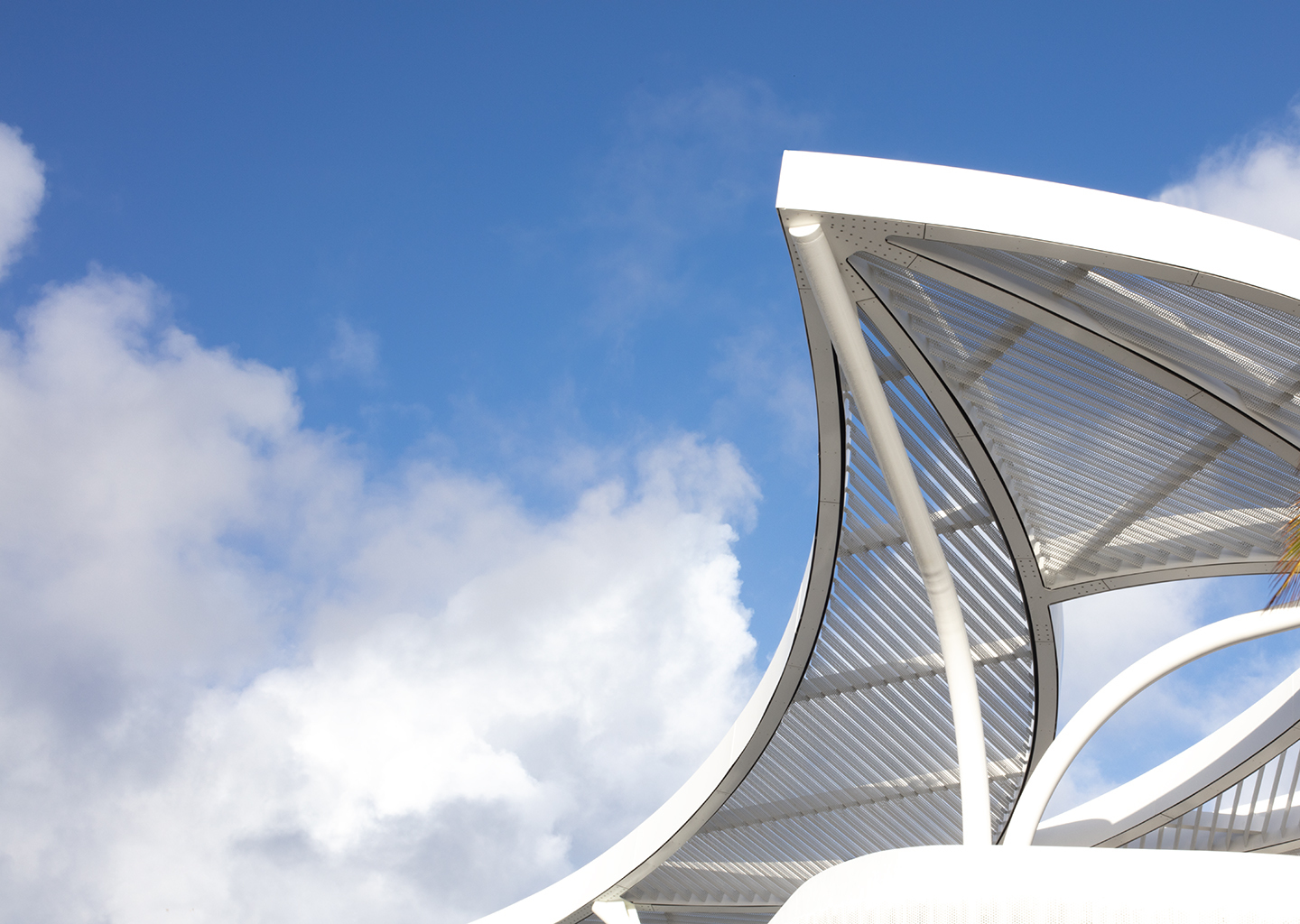 Brooks + Scarpa DC Alexander Park 公園