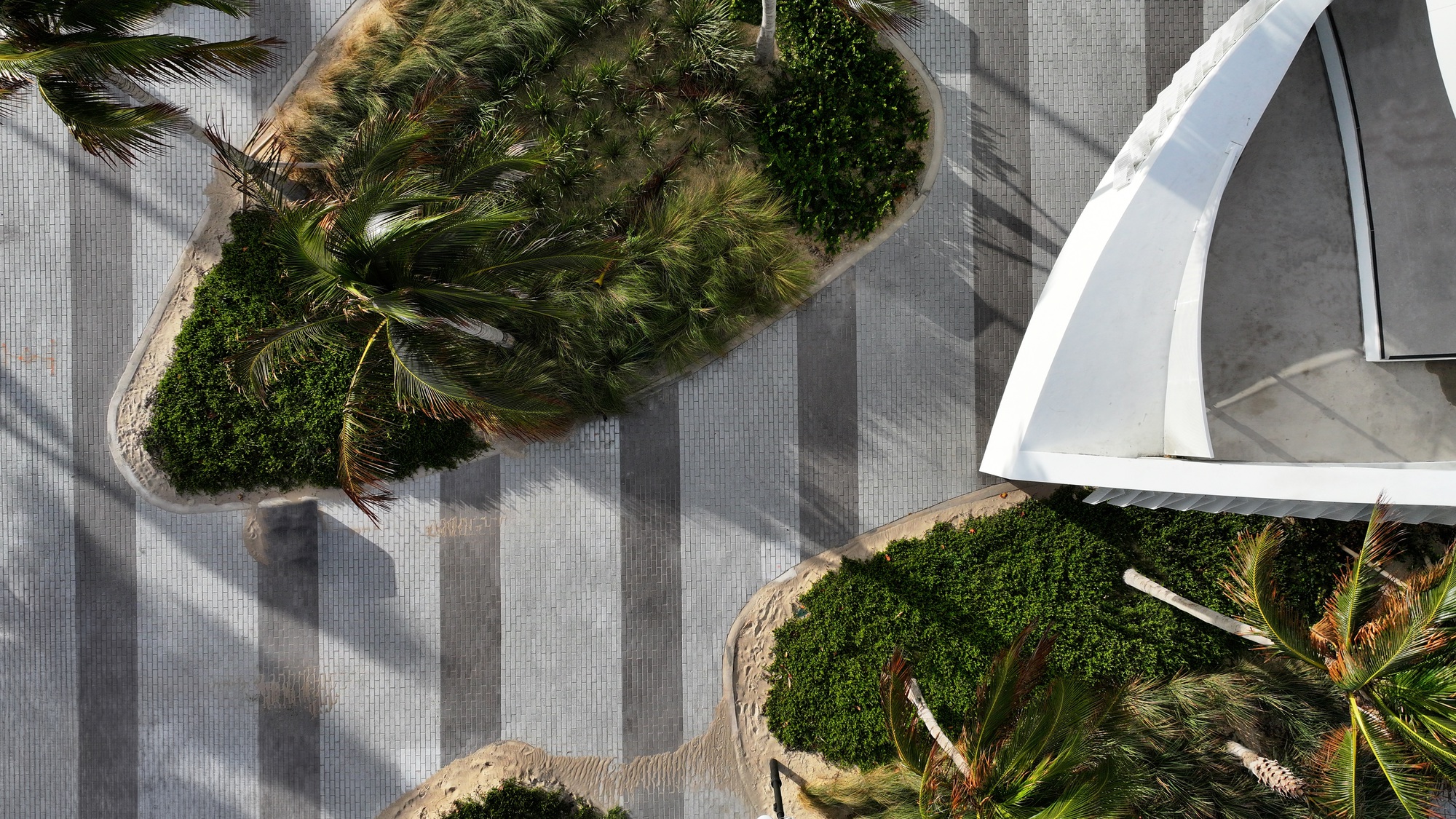 Brooks + Scarpa DC Alexander Park 公園