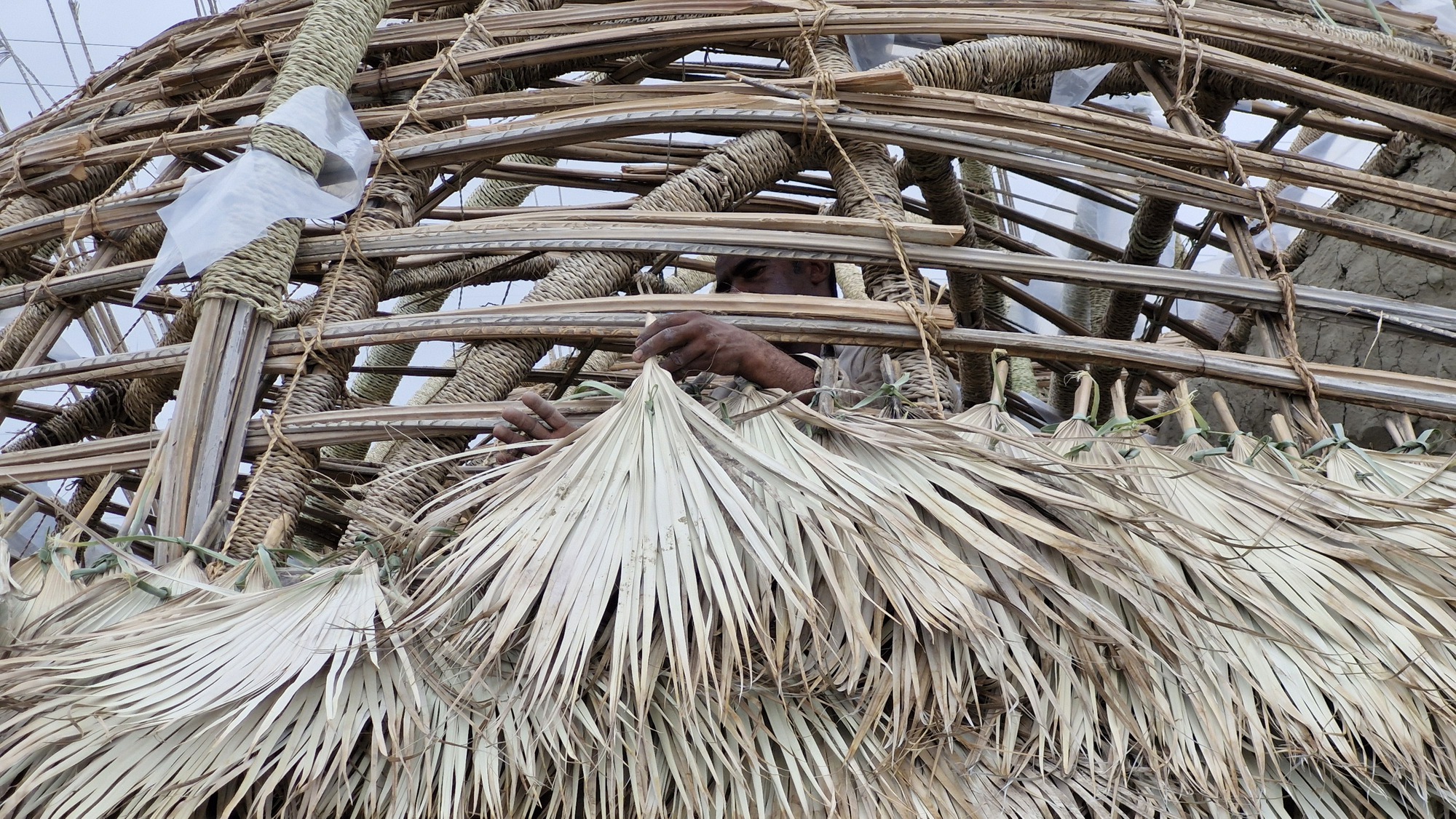 Iran Nedarag Guesthouse 伊朗客棧 NextOffice–Alireza Taghaboni