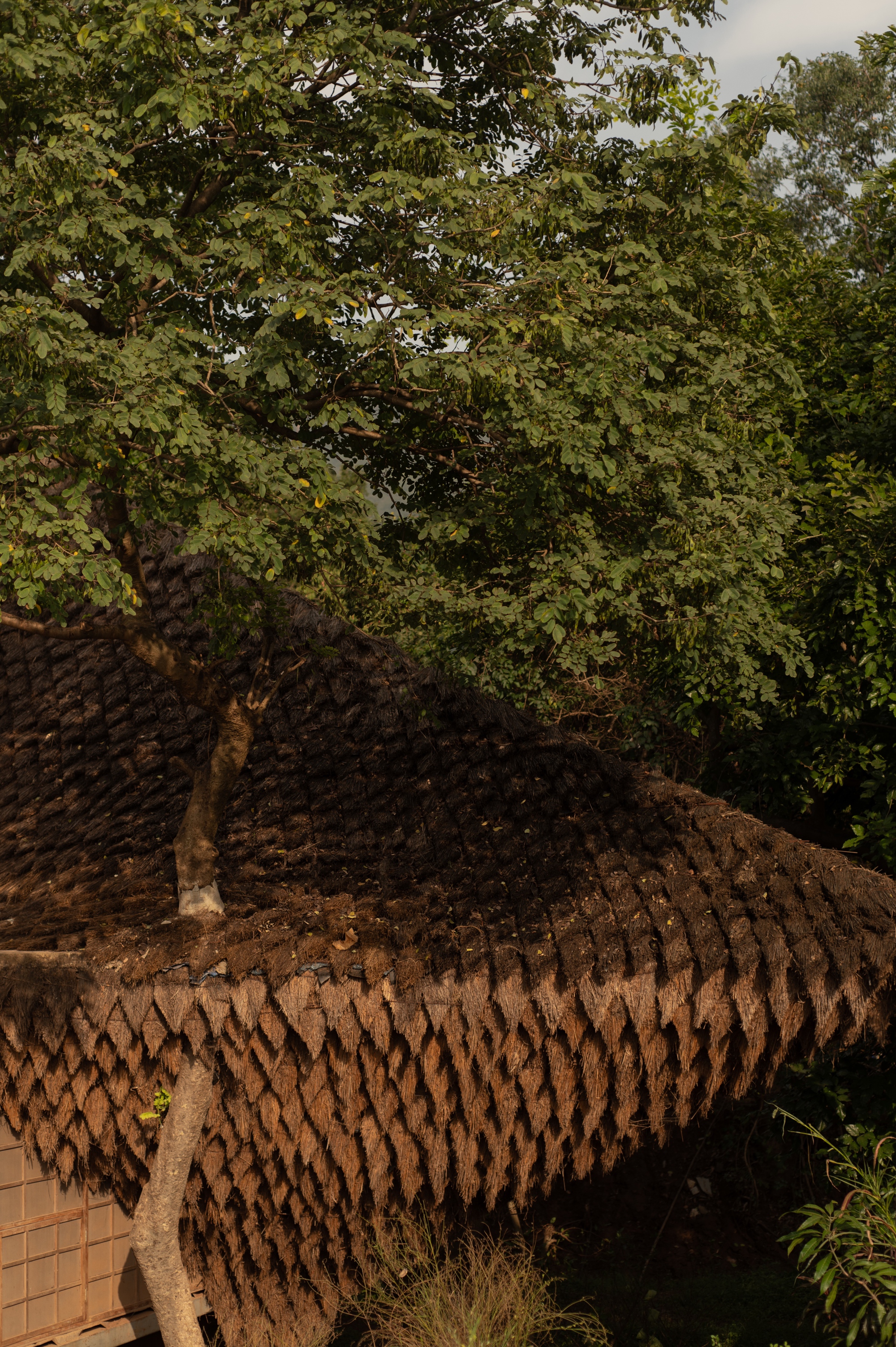 印度建築師事務所Wallmakers Vinu Daniel 竹構橋屋 Bridge House