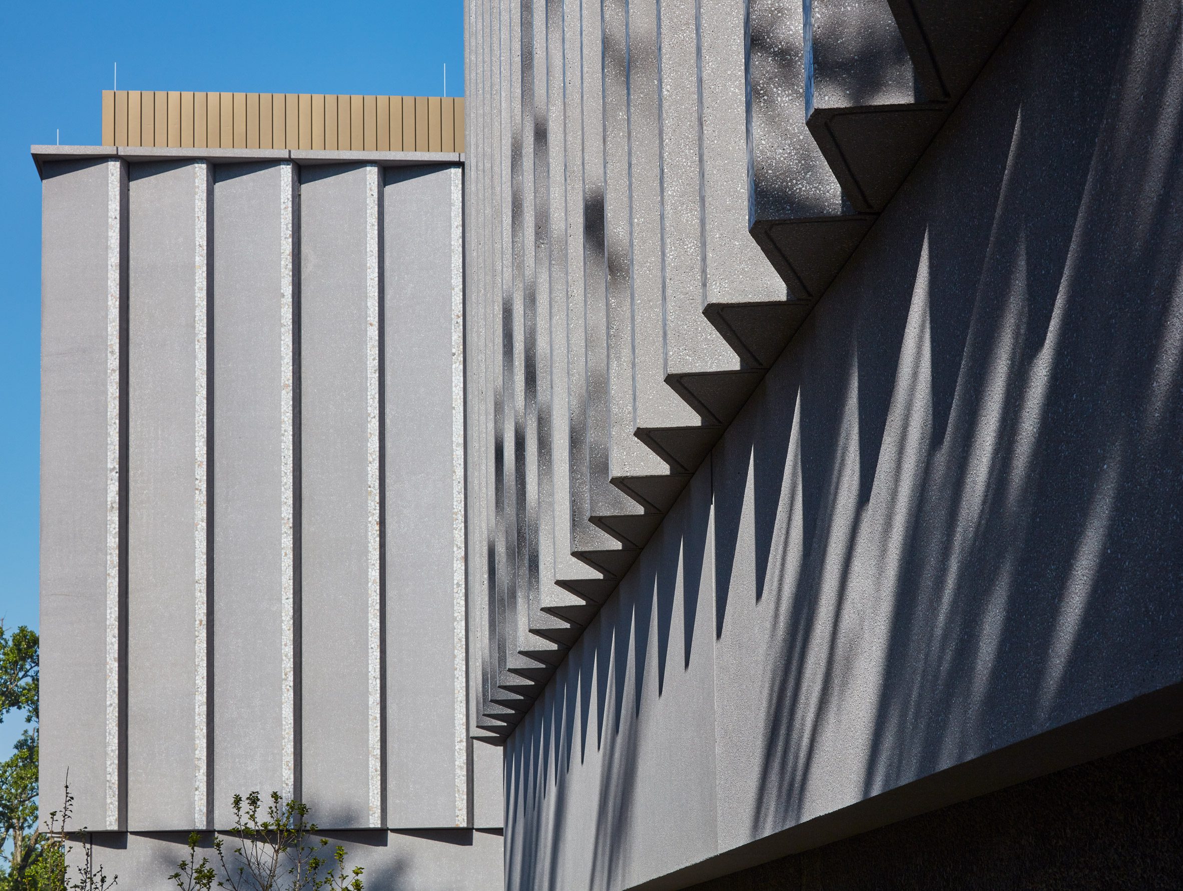 David Adjaye 普林斯頓大學藝術博物館 Princeton University Art Museum PUAM 
