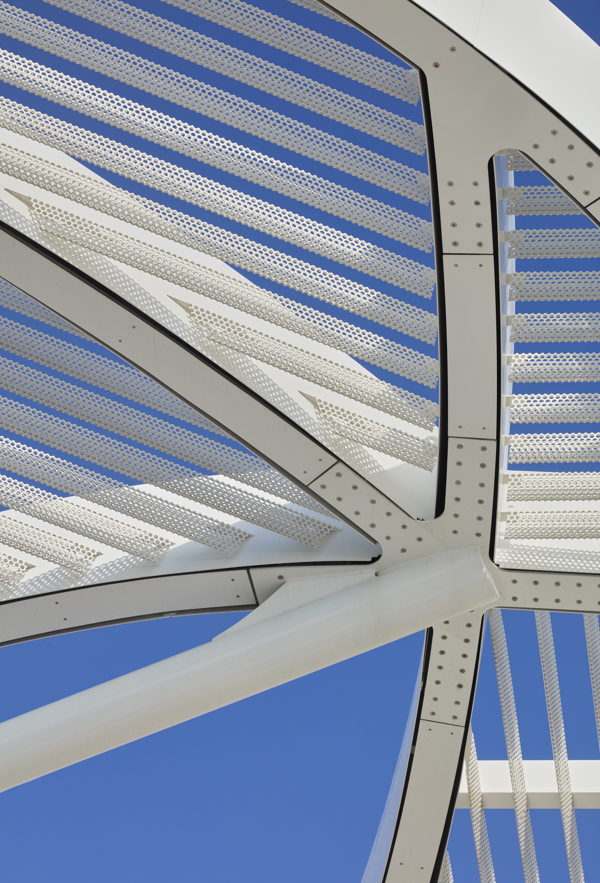 Brooks + Scarpa DC Alexander Park 公園