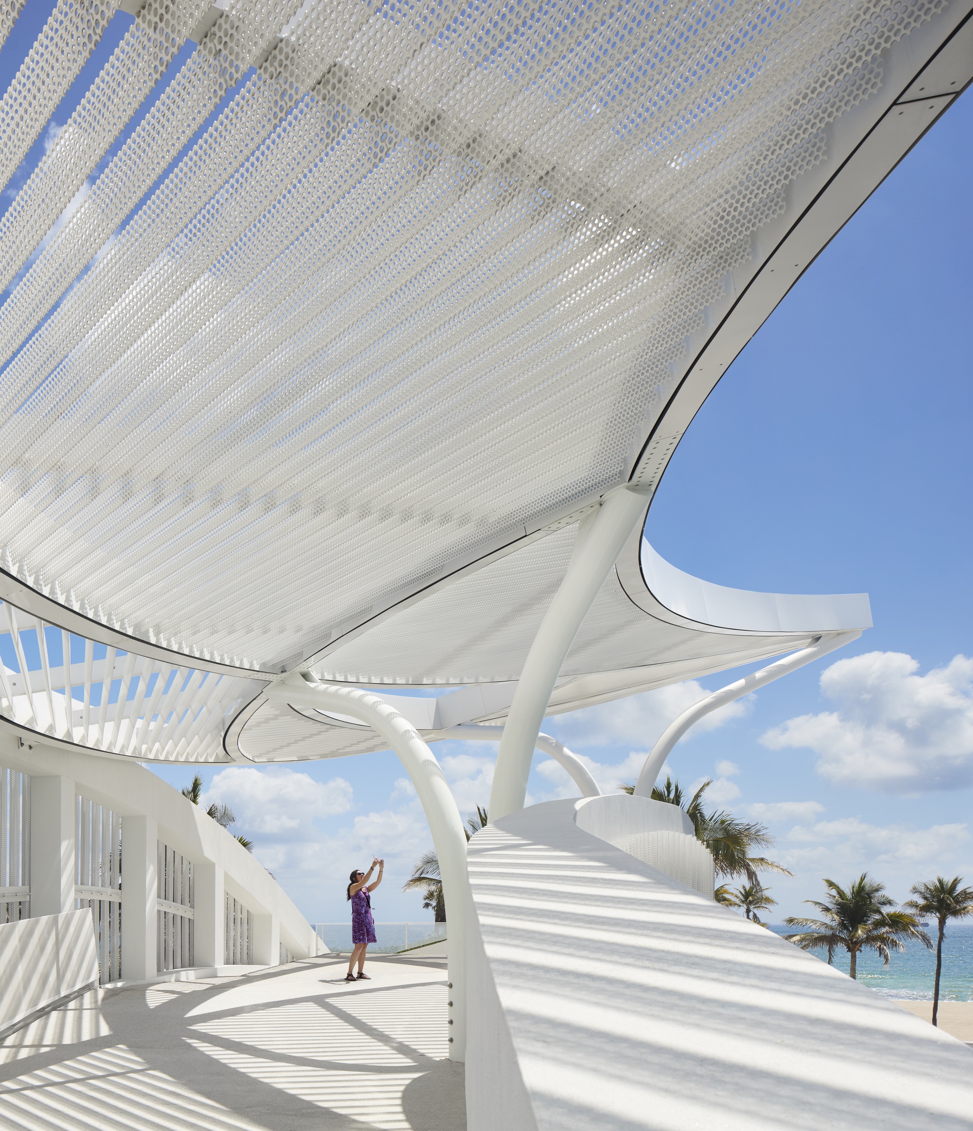 Brooks + Scarpa DC Alexander Park 公園