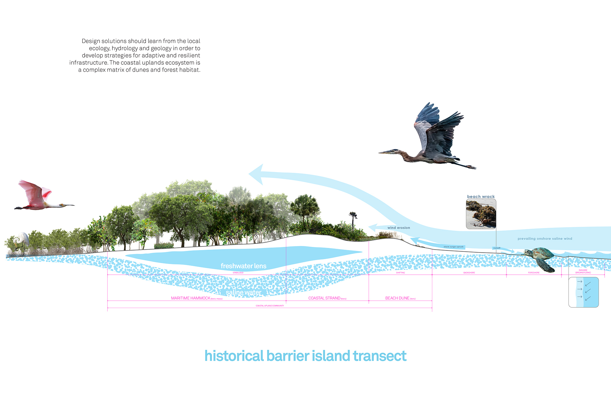 Brooks + Scarpa DC Alexander Park 公園